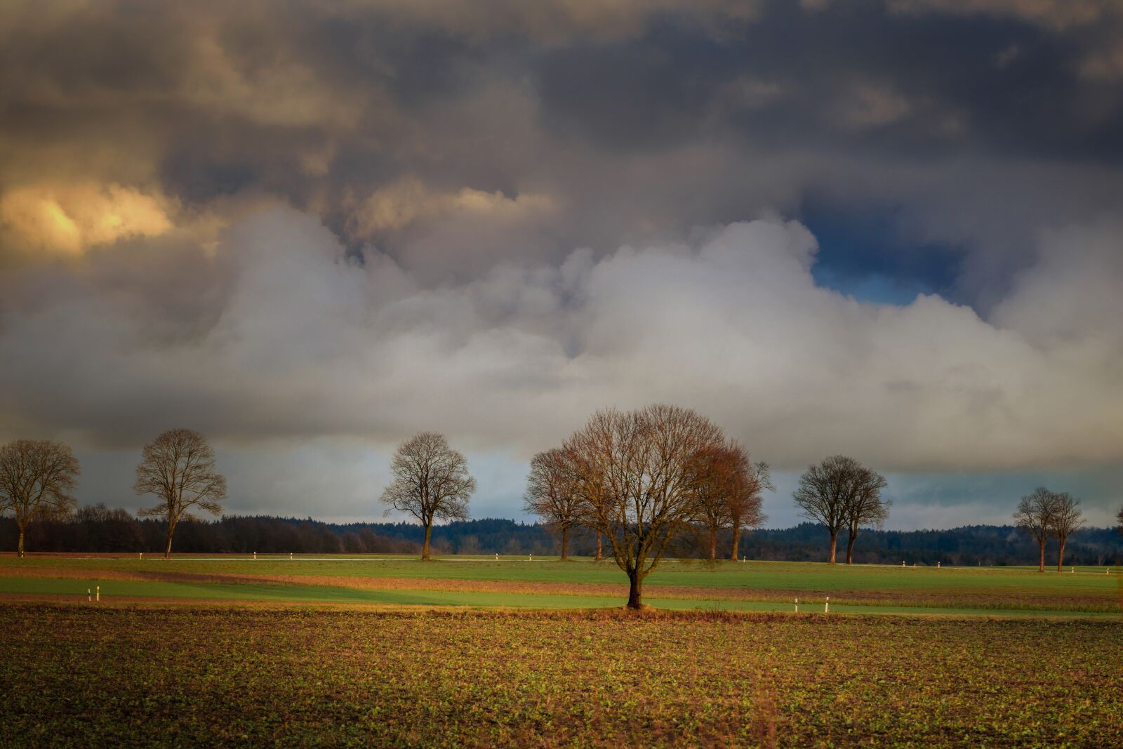 Panasonic Lumix DMC-GX8 sample photo. Clouds, abendstimmung, barbed wire photography
