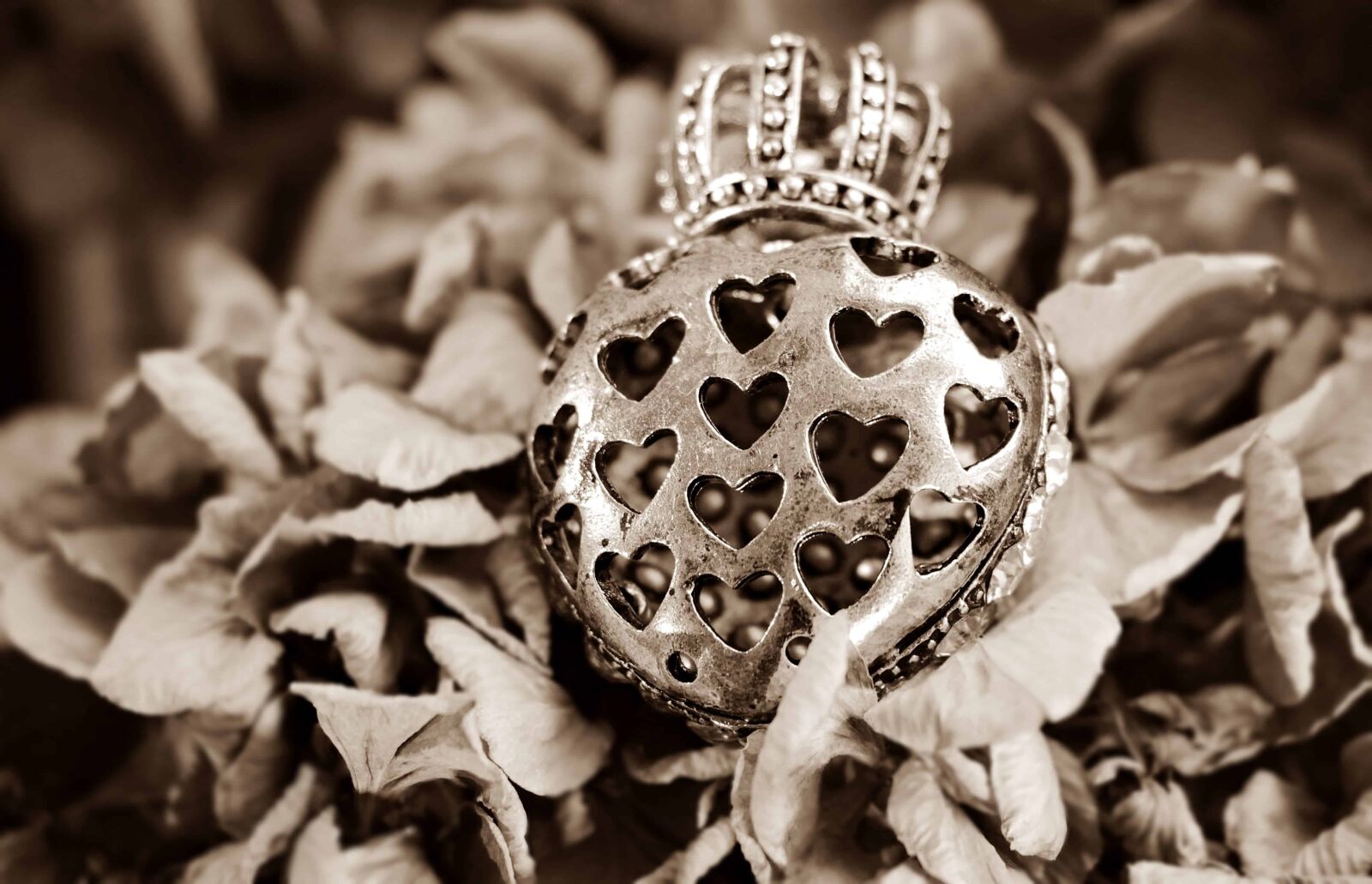 Canon EOS 100D (EOS Rebel SL1 / EOS Kiss X7) sample photo. Metal, jewelry, monochrome, sepia photography