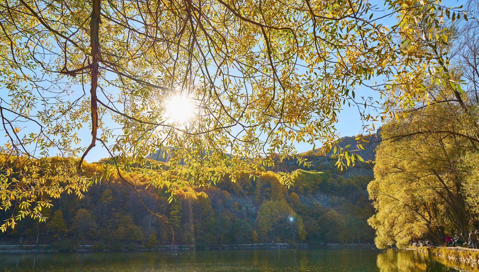 Sony a7R II sample photo. Mountains, trees, autumn photography