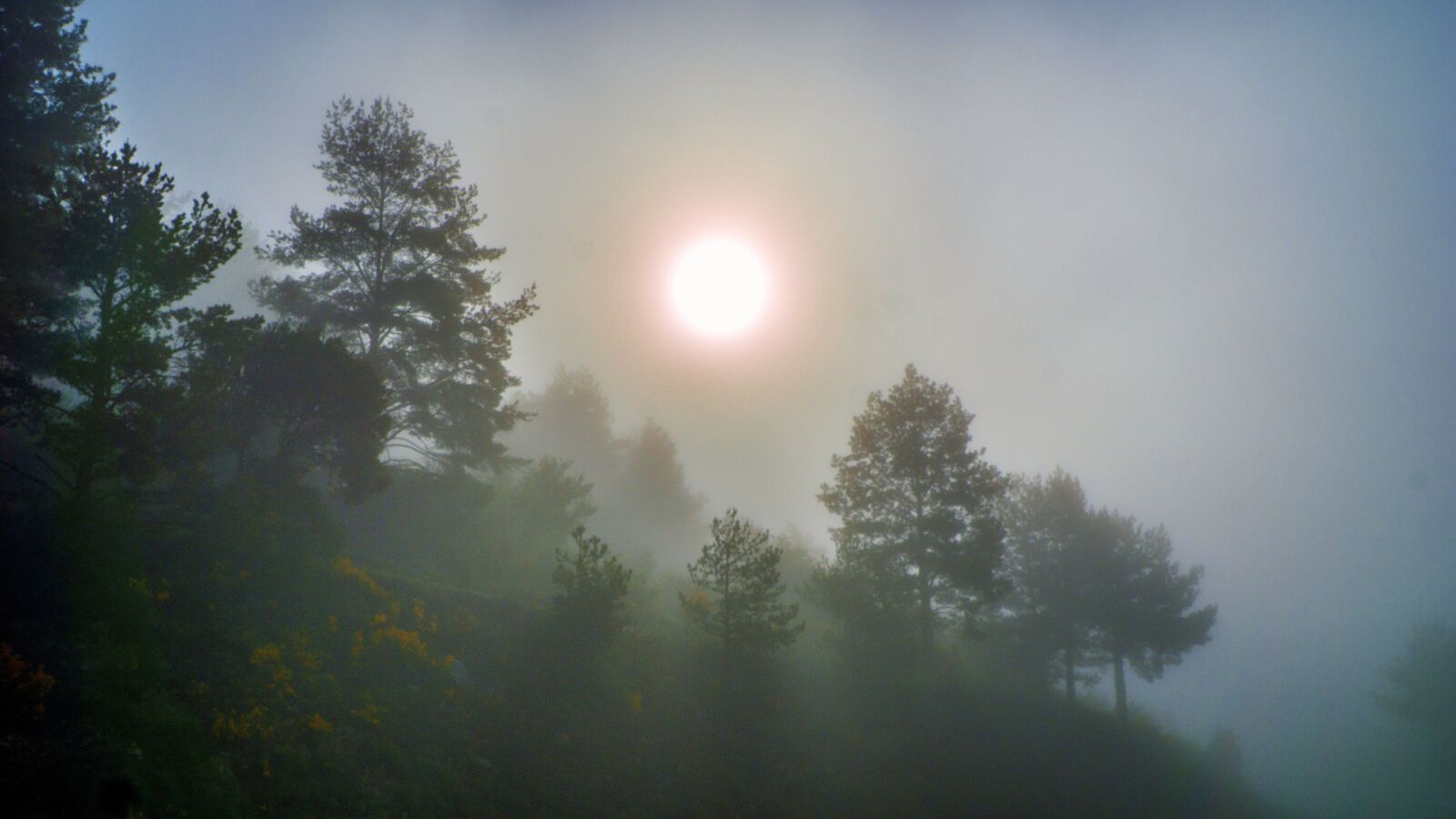 Sony a6000 + Sony E PZ 18-105mm F4 G OSS sample photo. Fog, meteorology, climate photography