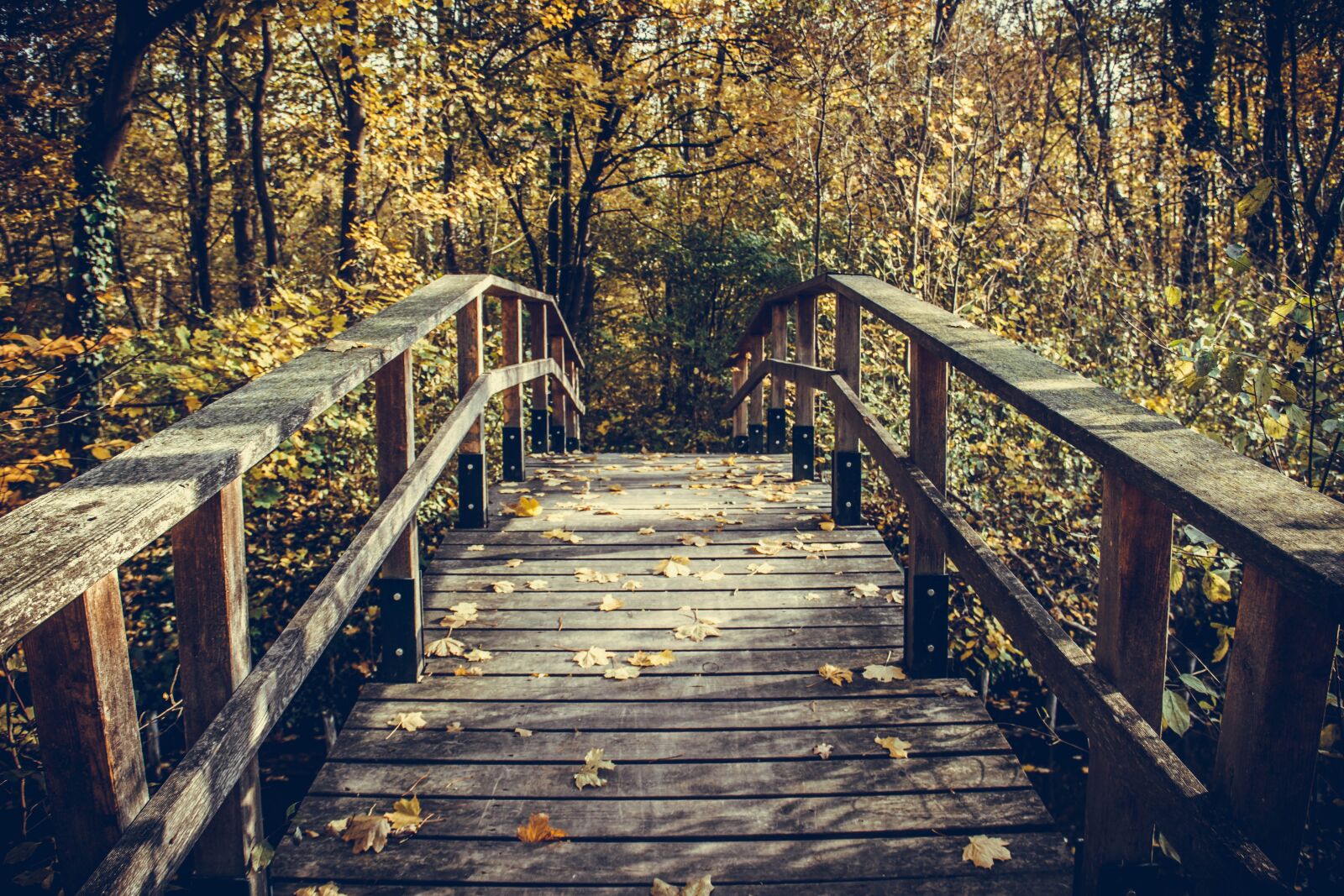 Осень деревянный мостик