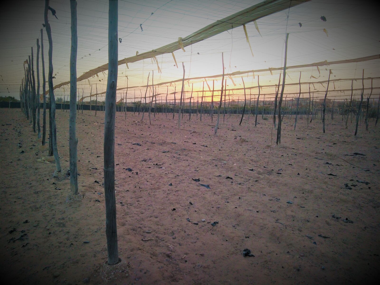 HUAWEI Honor 7A sample photo. Drought, desertification photography