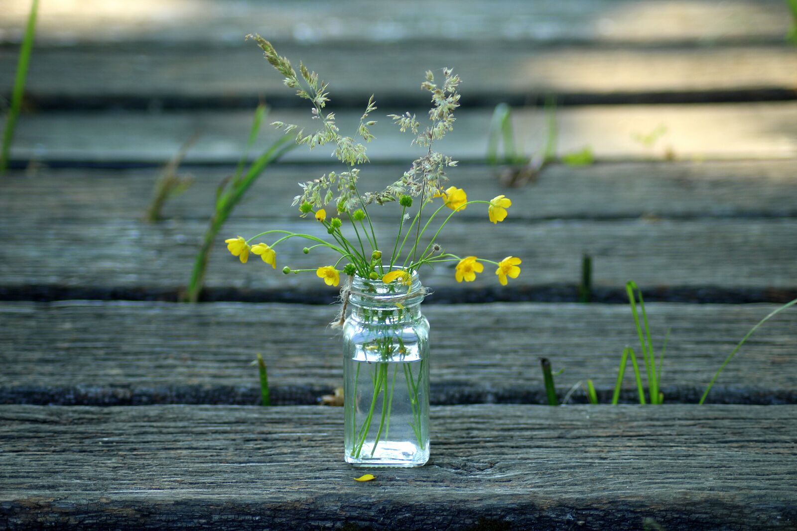 Canon EOS 1200D (EOS Rebel T5 / EOS Kiss X70 / EOS Hi) sample photo. Wildflowers, bouquet, nature photography