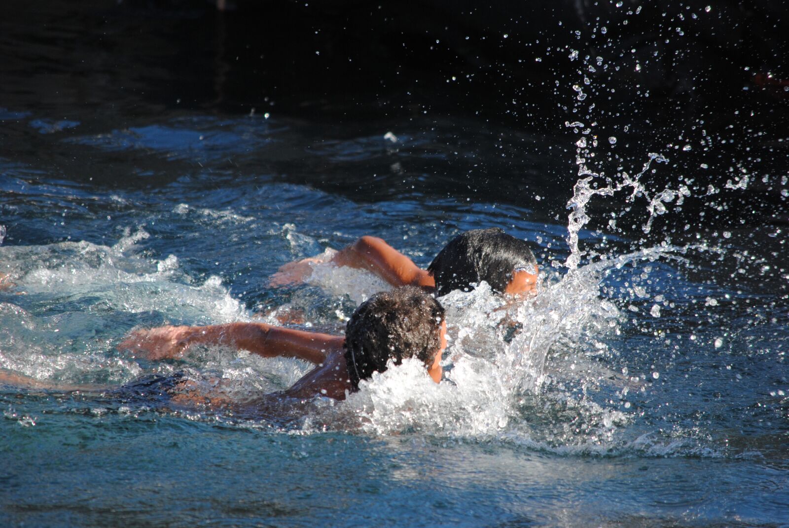 Nikon D3000 sample photo. Water, swimming, action photography
