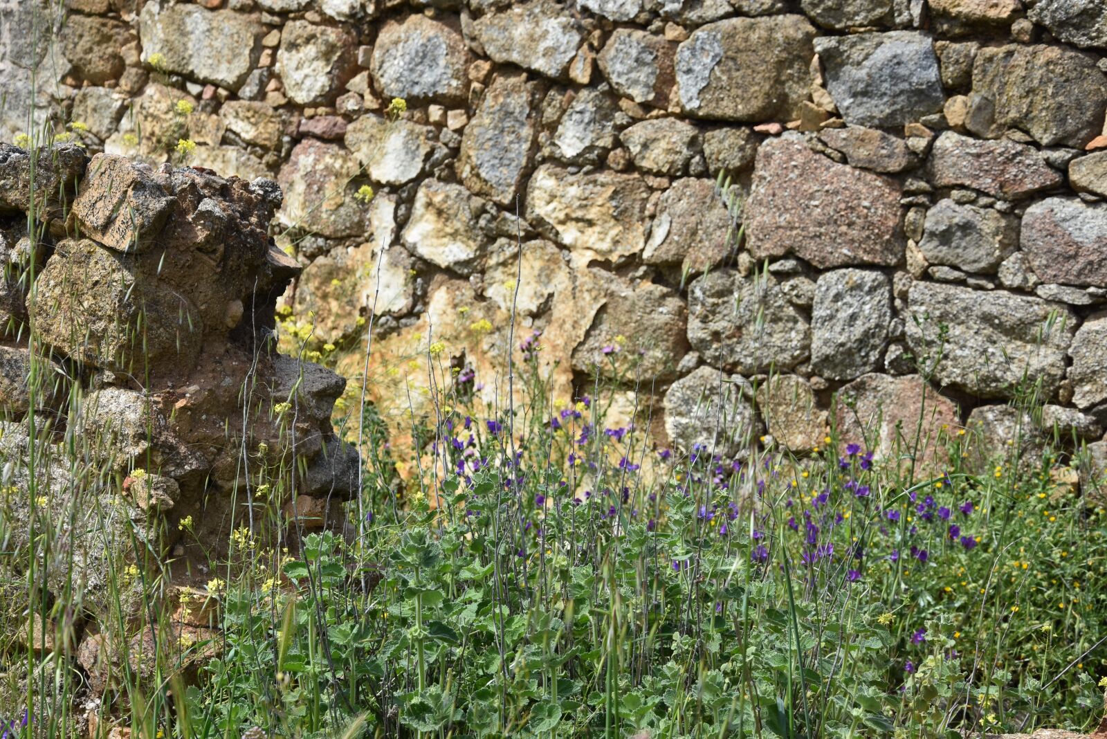 Nikon D7200 sample photo. Desktop, stone, wall photography