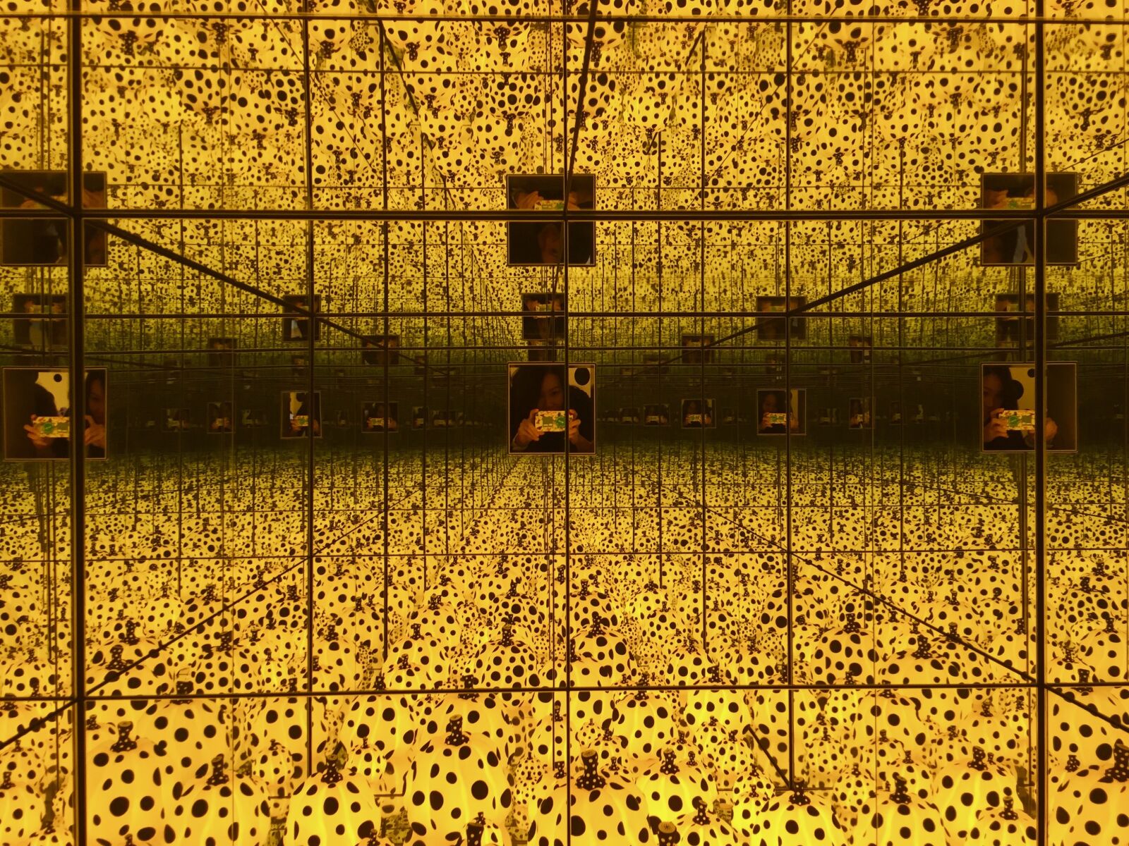 Apple iPhone 6 sample photo. Yayoi kusama, dots, pumpkin photography