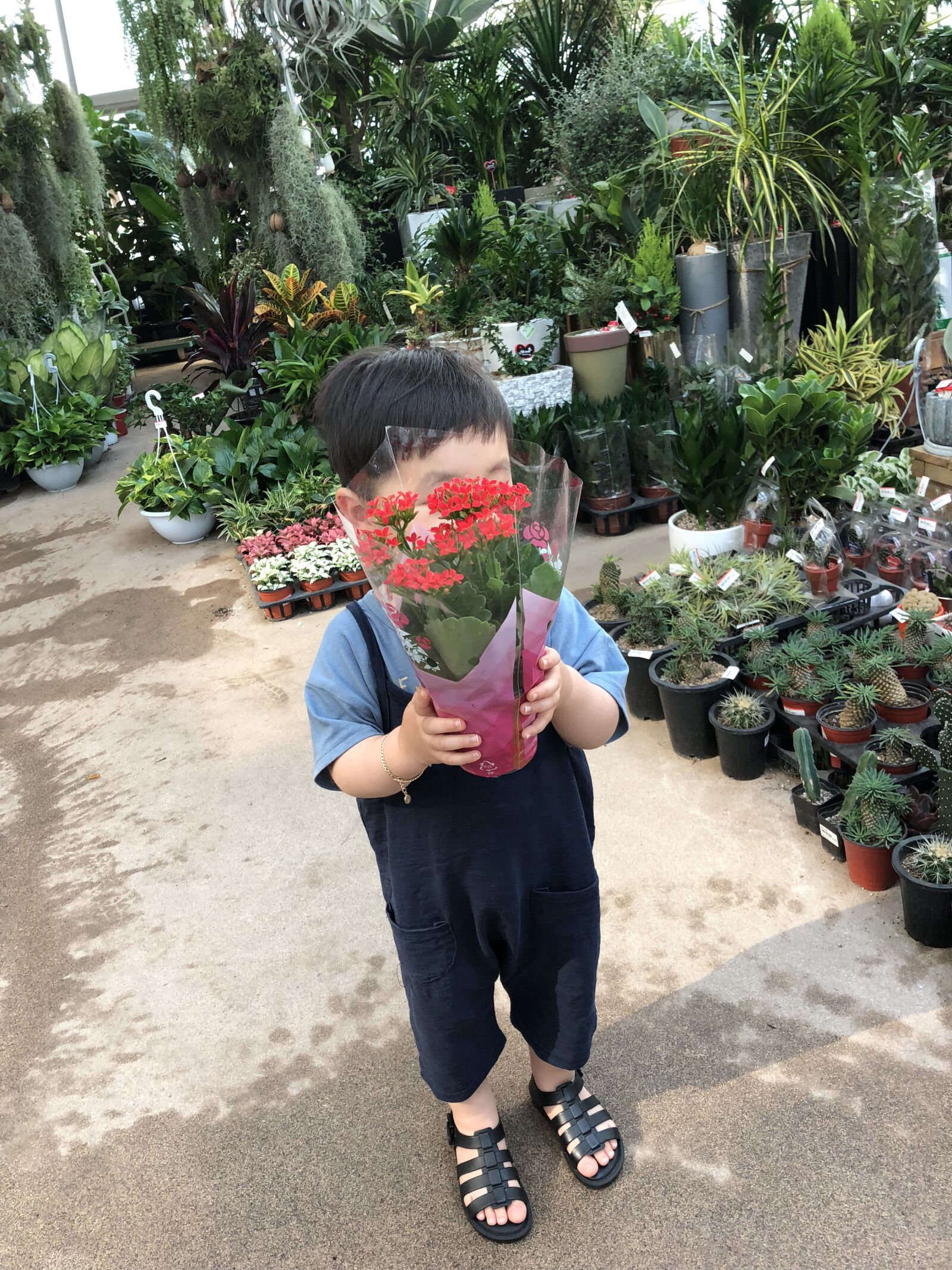 iPhone 8 back camera 3.99mm f/1.8 sample photo. Flowers, children, fun photography