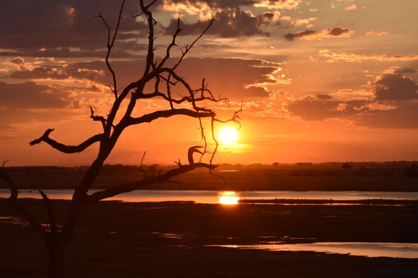 Nikon D5600 sample photo. Botswana, sunset, chobe photography
