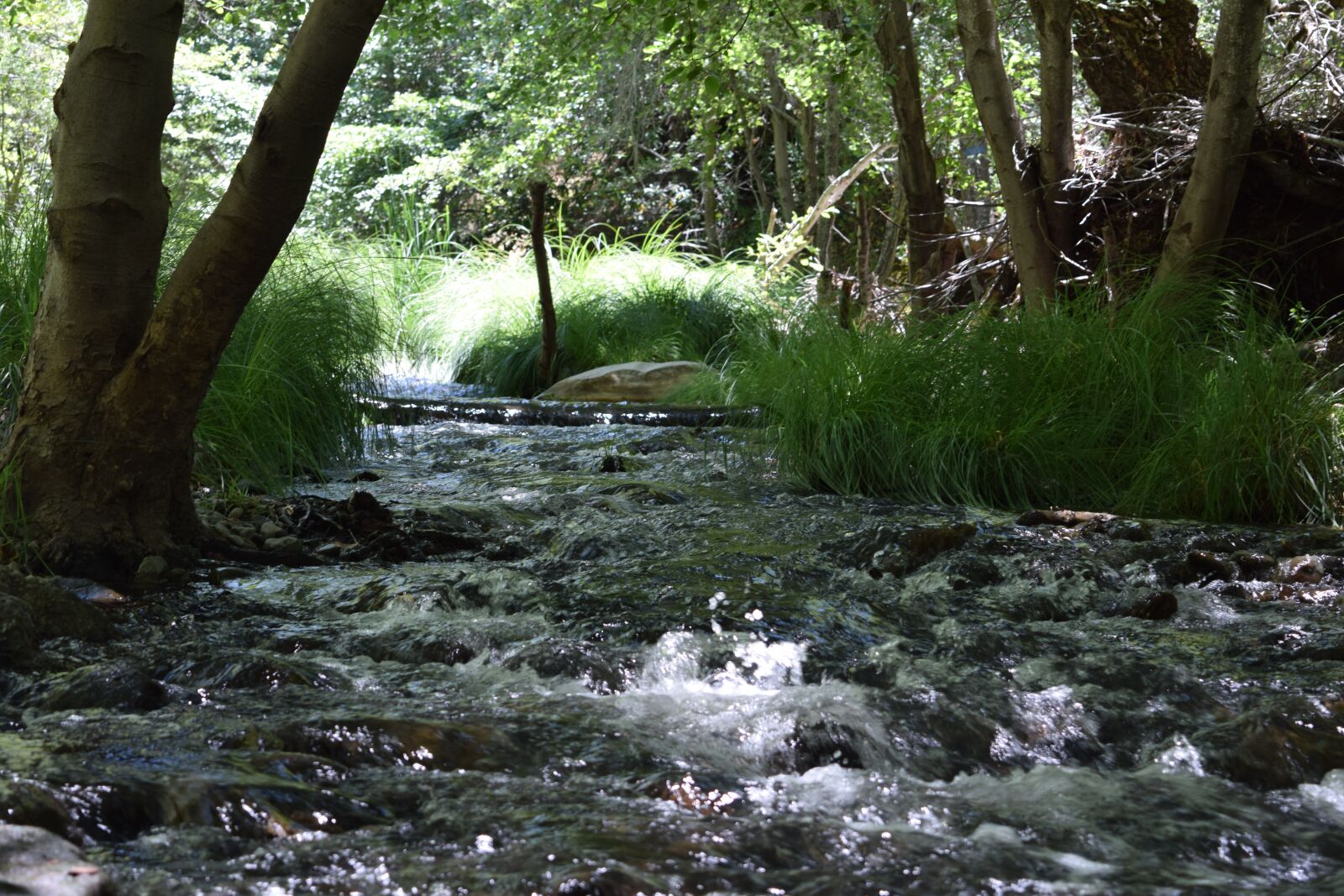 Nikon D3300 sample photo. Stream, creek, water photography