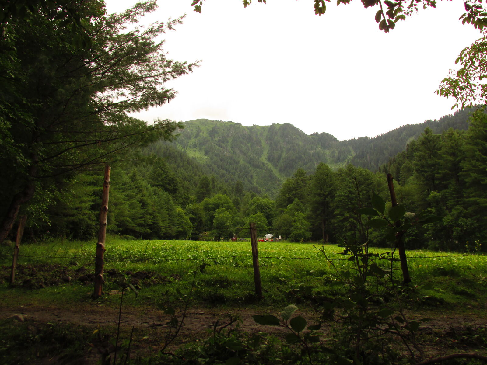 Canon PowerShot SX160 IS sample photo