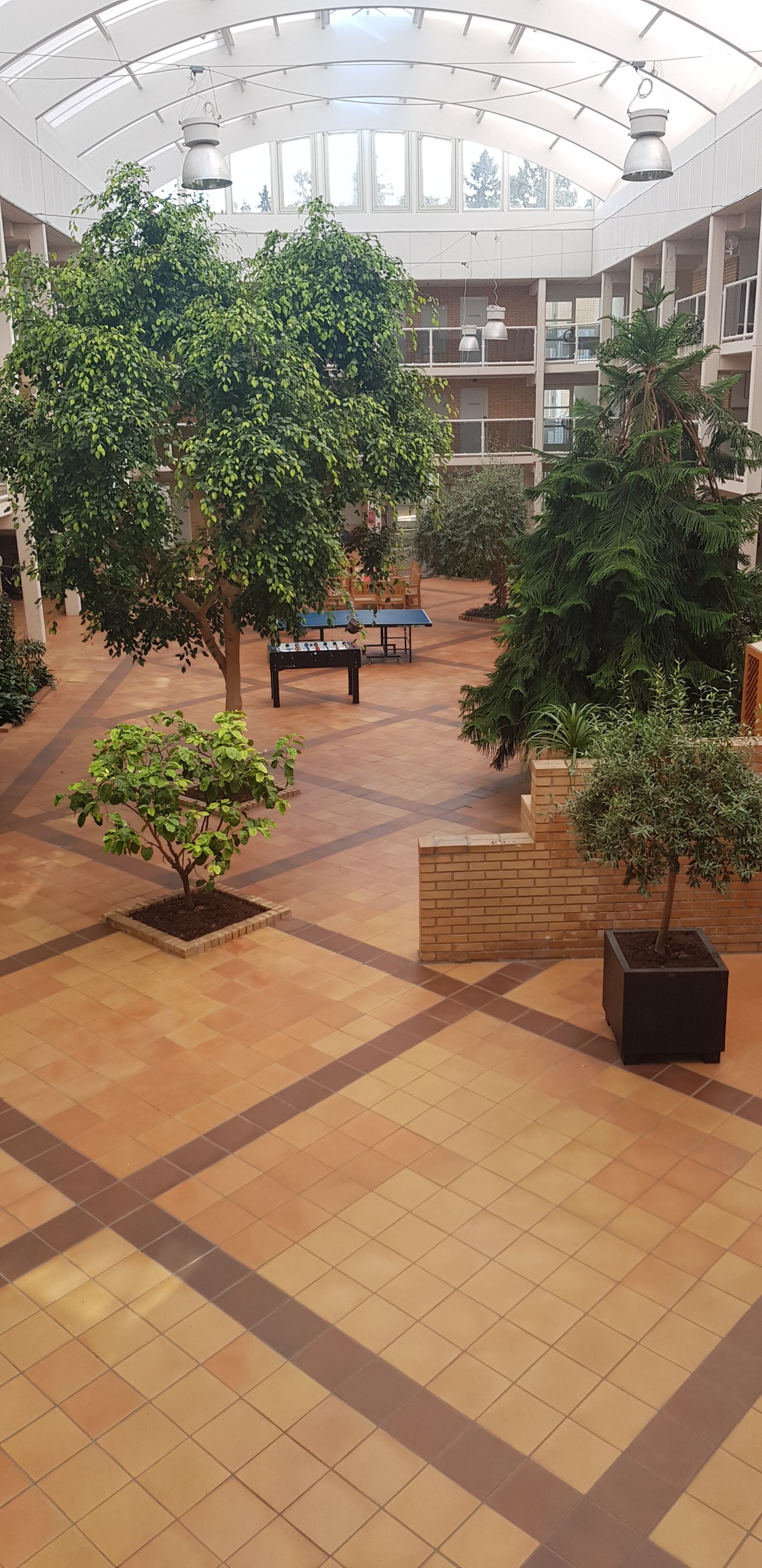 Samsung Galaxy S8 sample photo. Indoor, trees, glass roof photography