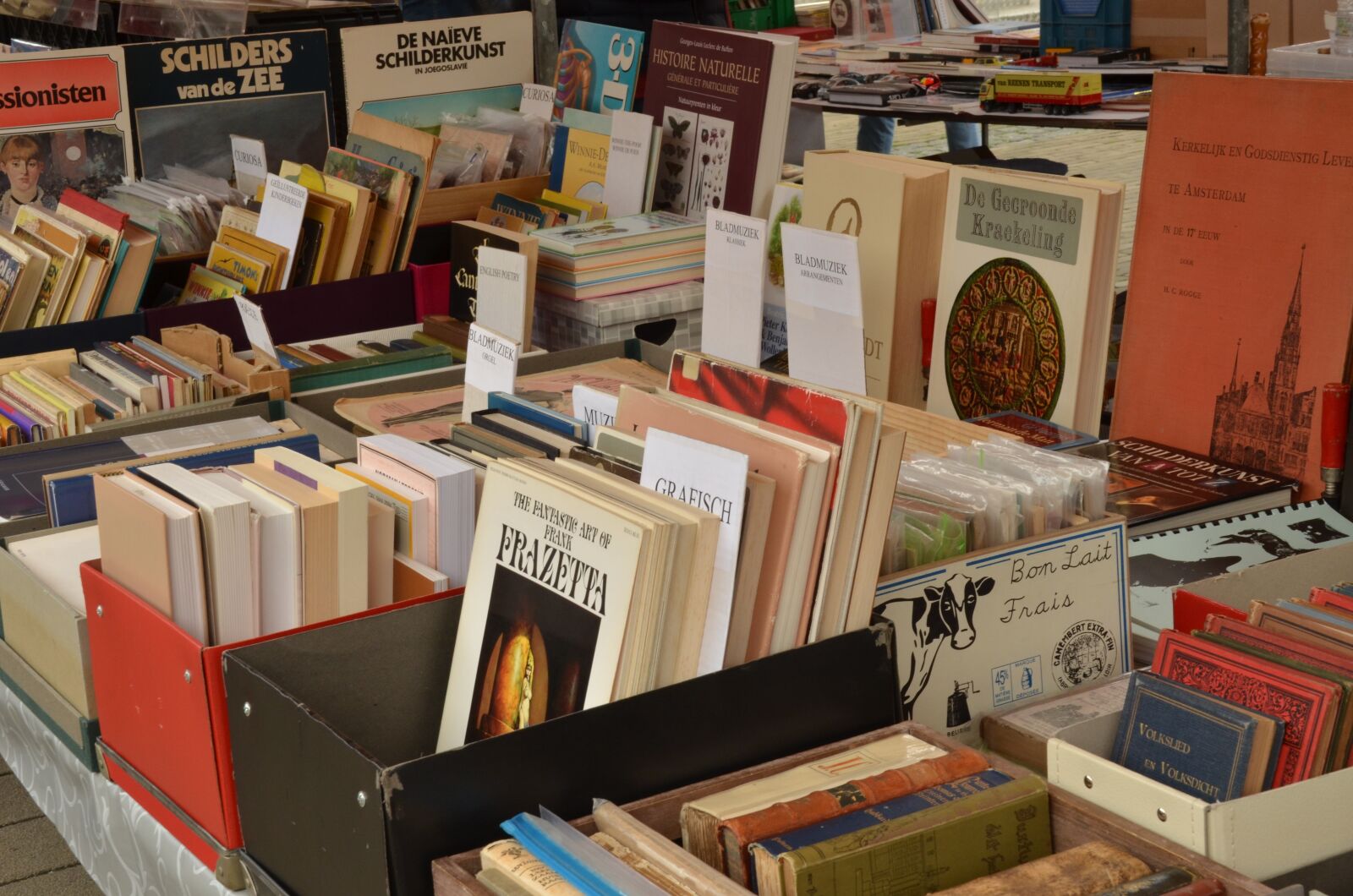 Nikon D7000 sample photo. Book, book market, sales photography