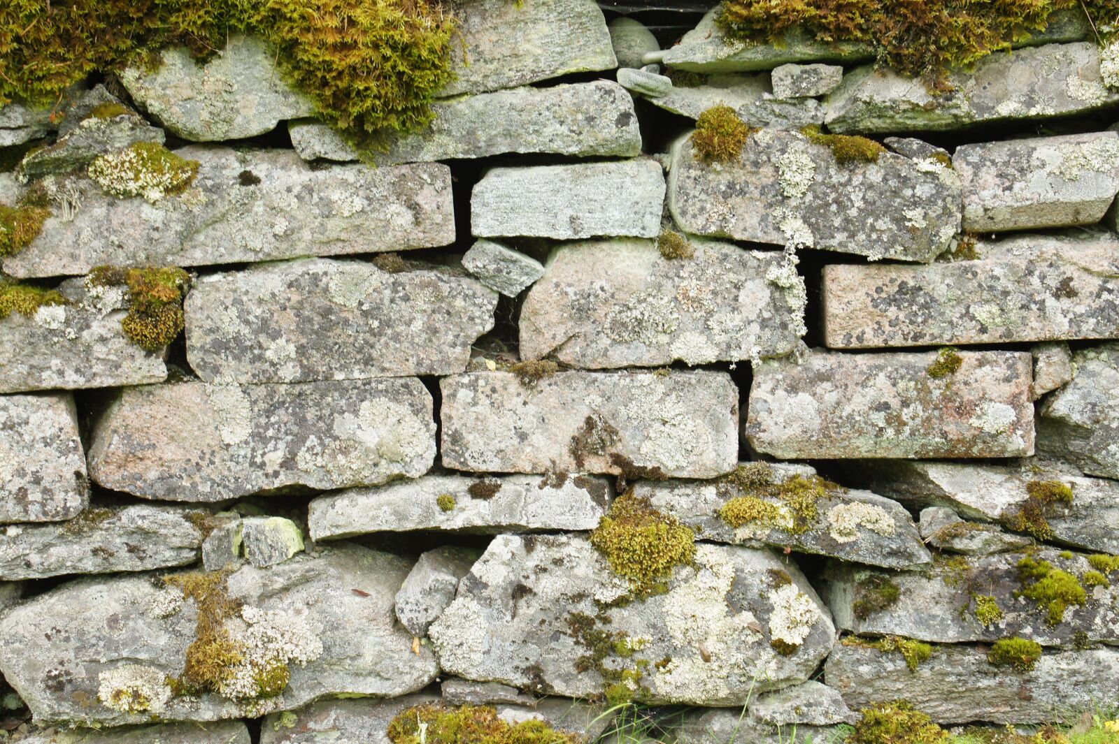 Sony SLT-A33 sample photo. Brick wall, stone, brick photography