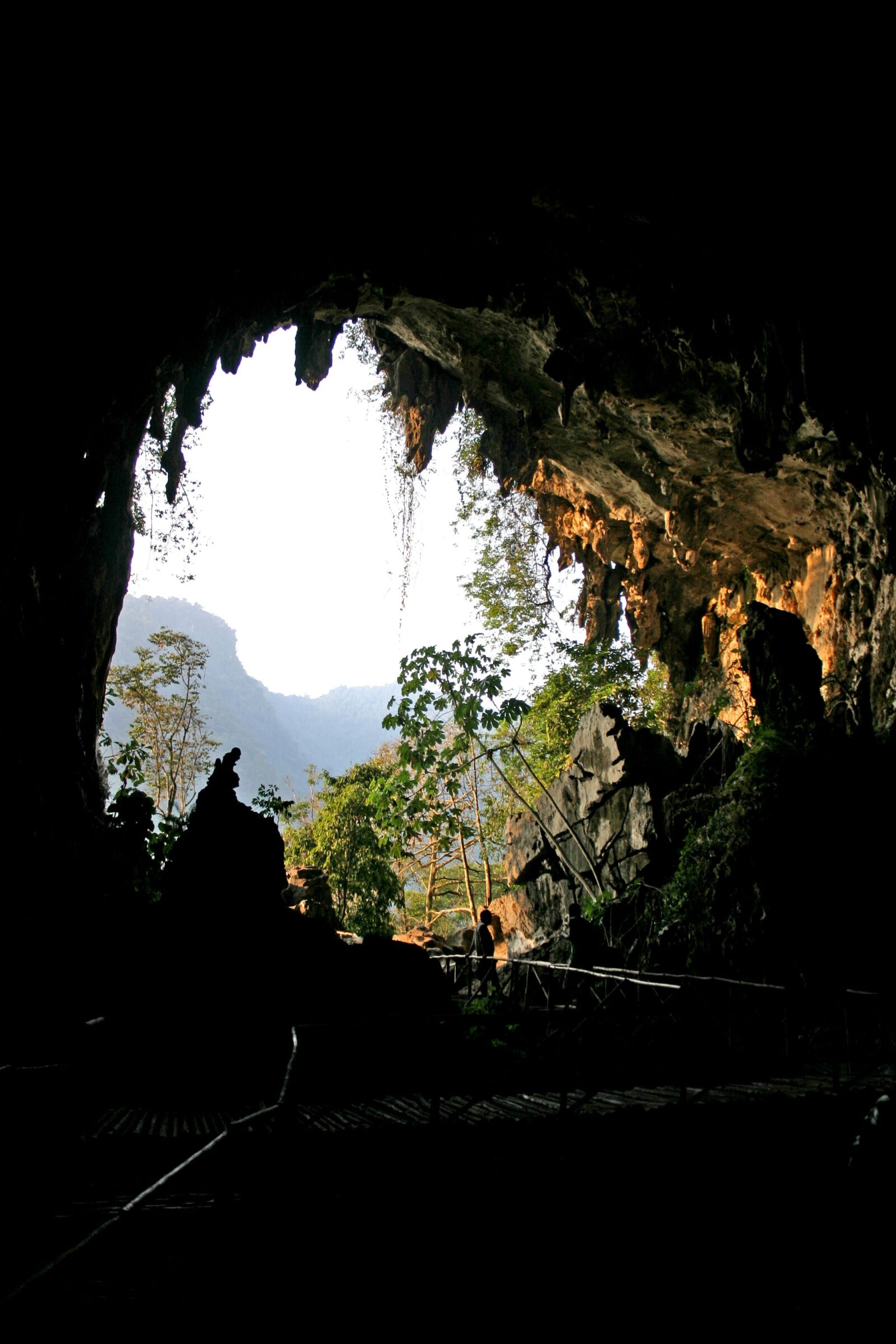 Canon EOS 300D (EOS Digital Rebel / EOS Kiss Digital) sample photo. Cave, owls, tingo photography