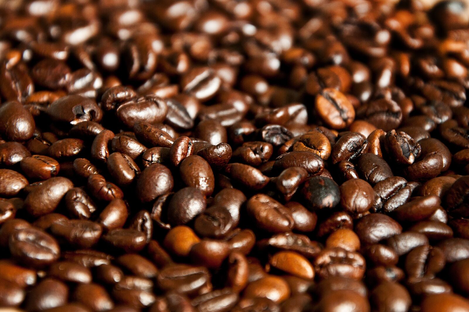 Nikon D90 sample photo. Coffee, coffee beans, benefit photography