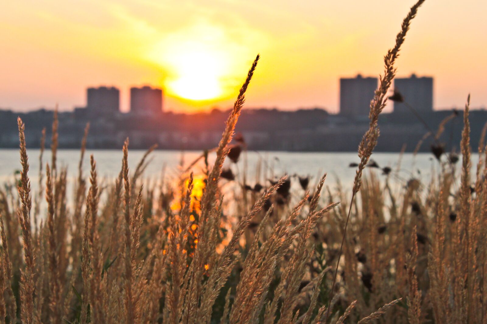 Canon EOS 500D (EOS Rebel T1i / EOS Kiss X3) sample photo. Sunset, sky, sea photography