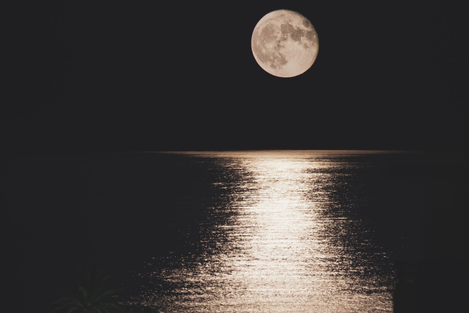 Nikon D3300 sample photo. Night, moon, sea photography