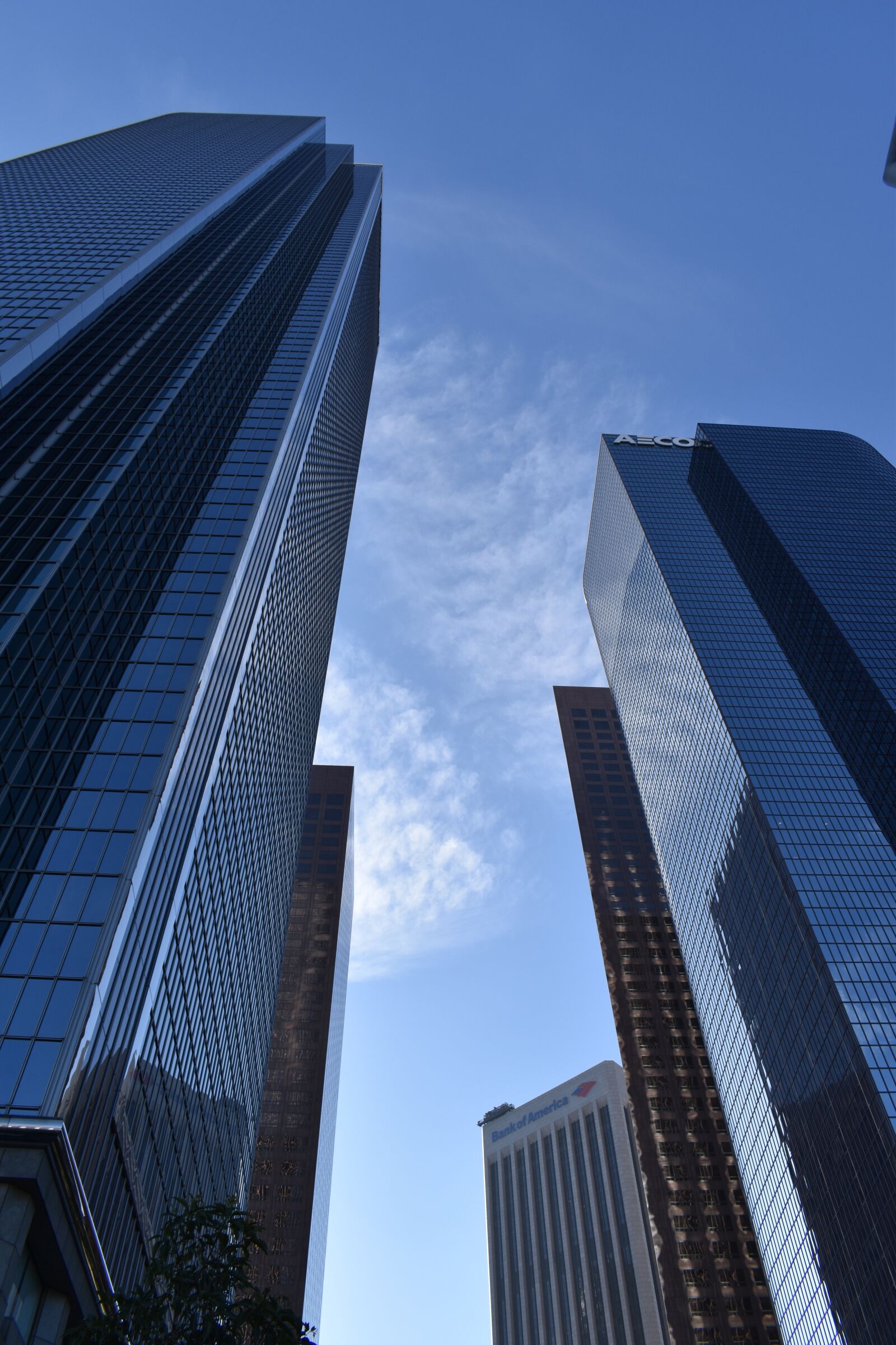 Nikon D5600 sample photo. Skyscraper, architecture, city photography