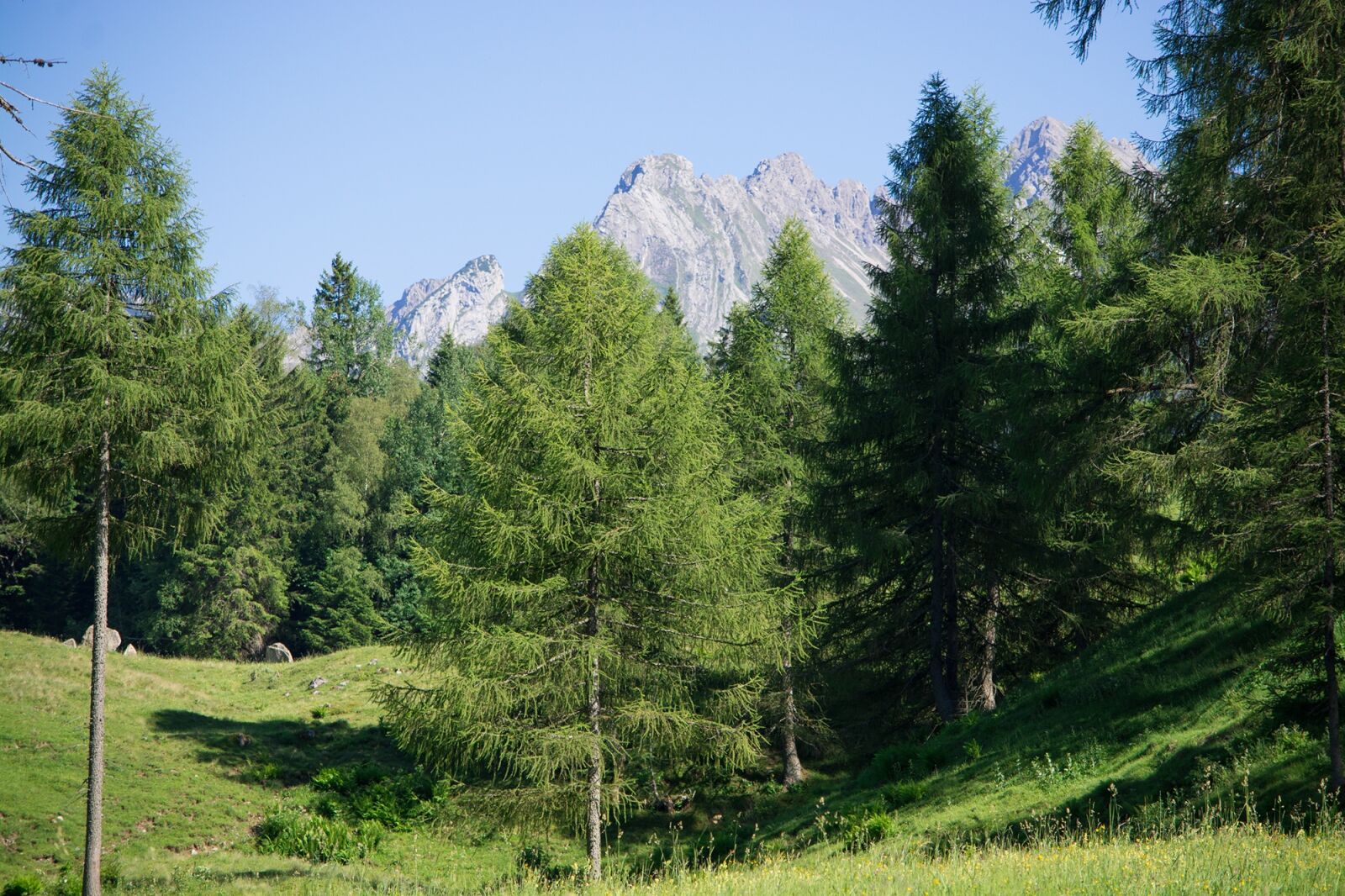 Nikon D7100 sample photo. Landscape, nature, summer photography