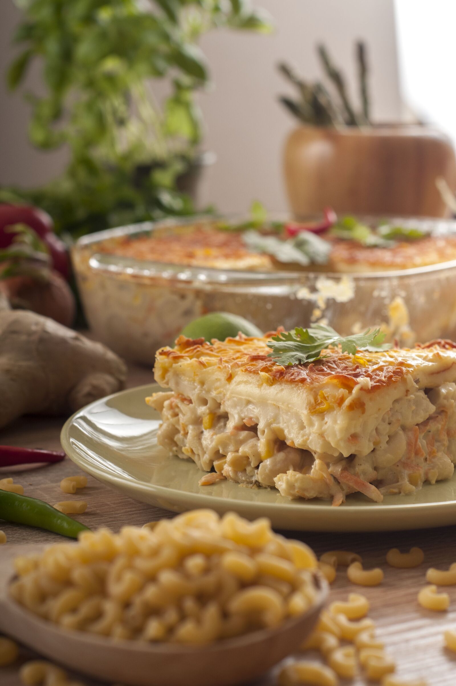 Nikon D300S sample photo. Macaroni, bechamel, cheese photography