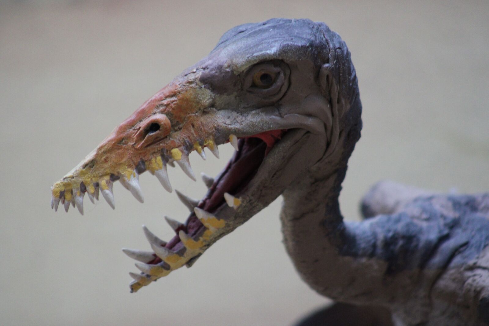 Canon EOS 2000D (EOS Rebel T7 / EOS Kiss X90 / EOS 1500D) sample photo. Dino, dinosaur, prehistoric times photography