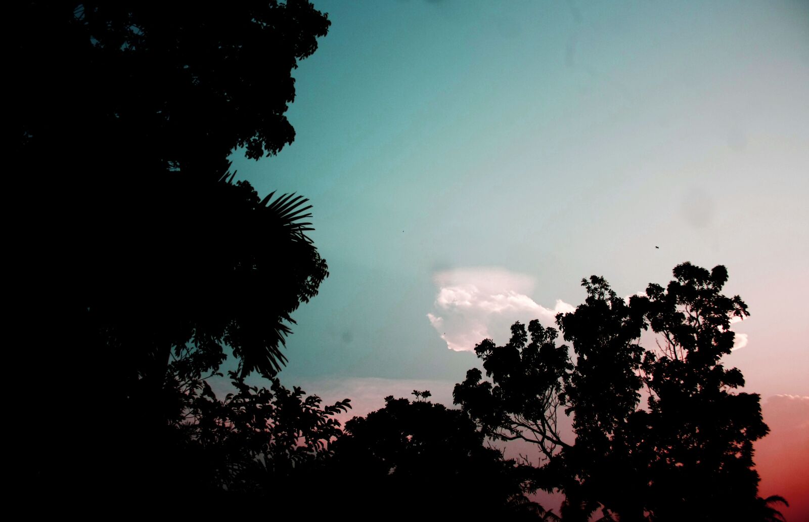 Canon EOS 1000D (EOS Digital Rebel XS / EOS Kiss F) sample photo. Nature, sunset, cloud photography