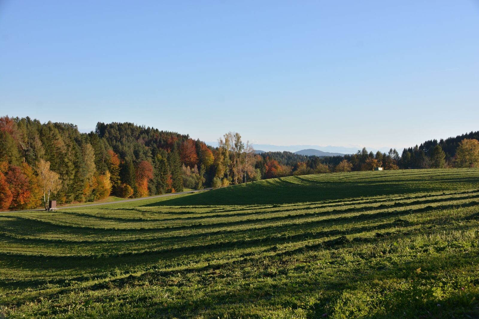 Nikon D7100 sample photo. Autumn, meadow, nature photography