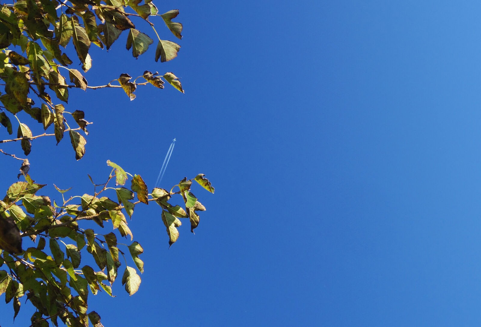 Pentax Q10 sample photo. Sky photography