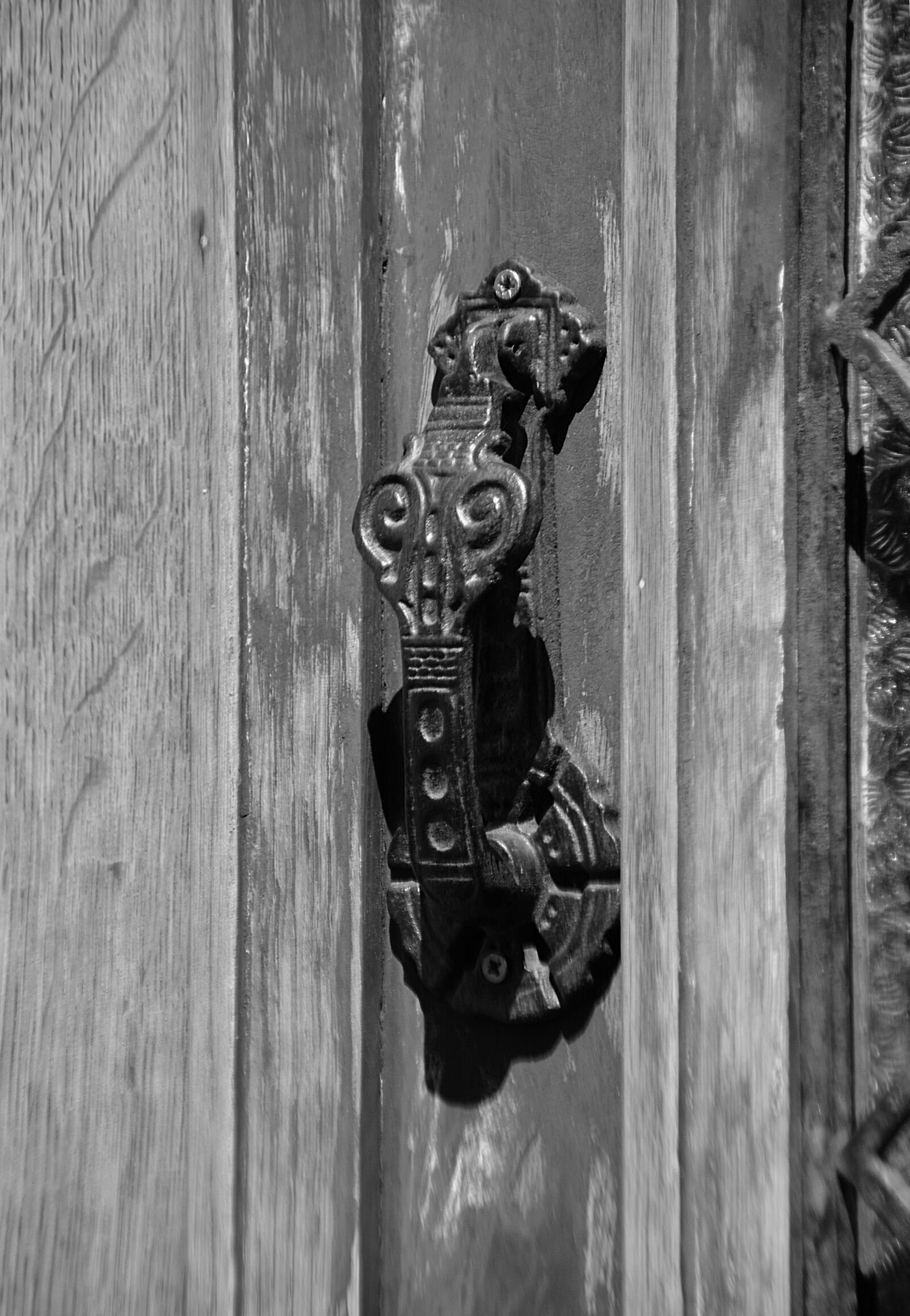 Nikon D5200 sample photo. Knocker, door, black and photography