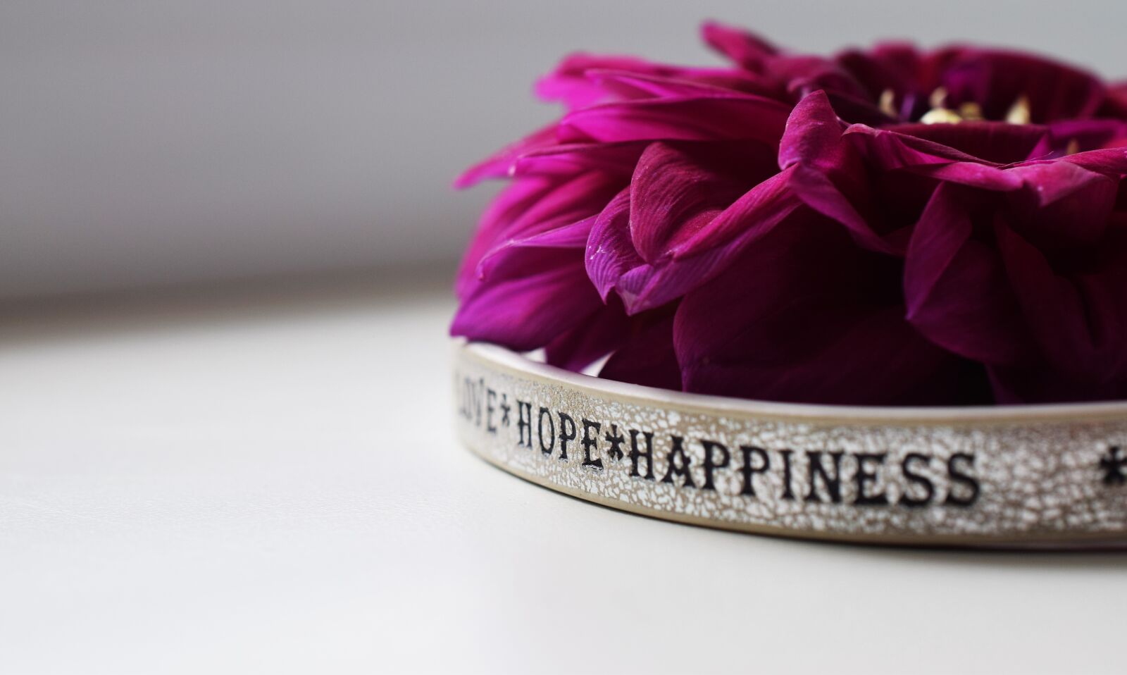 Nikon D5300 sample photo. Happiness, the inscription, flower photography