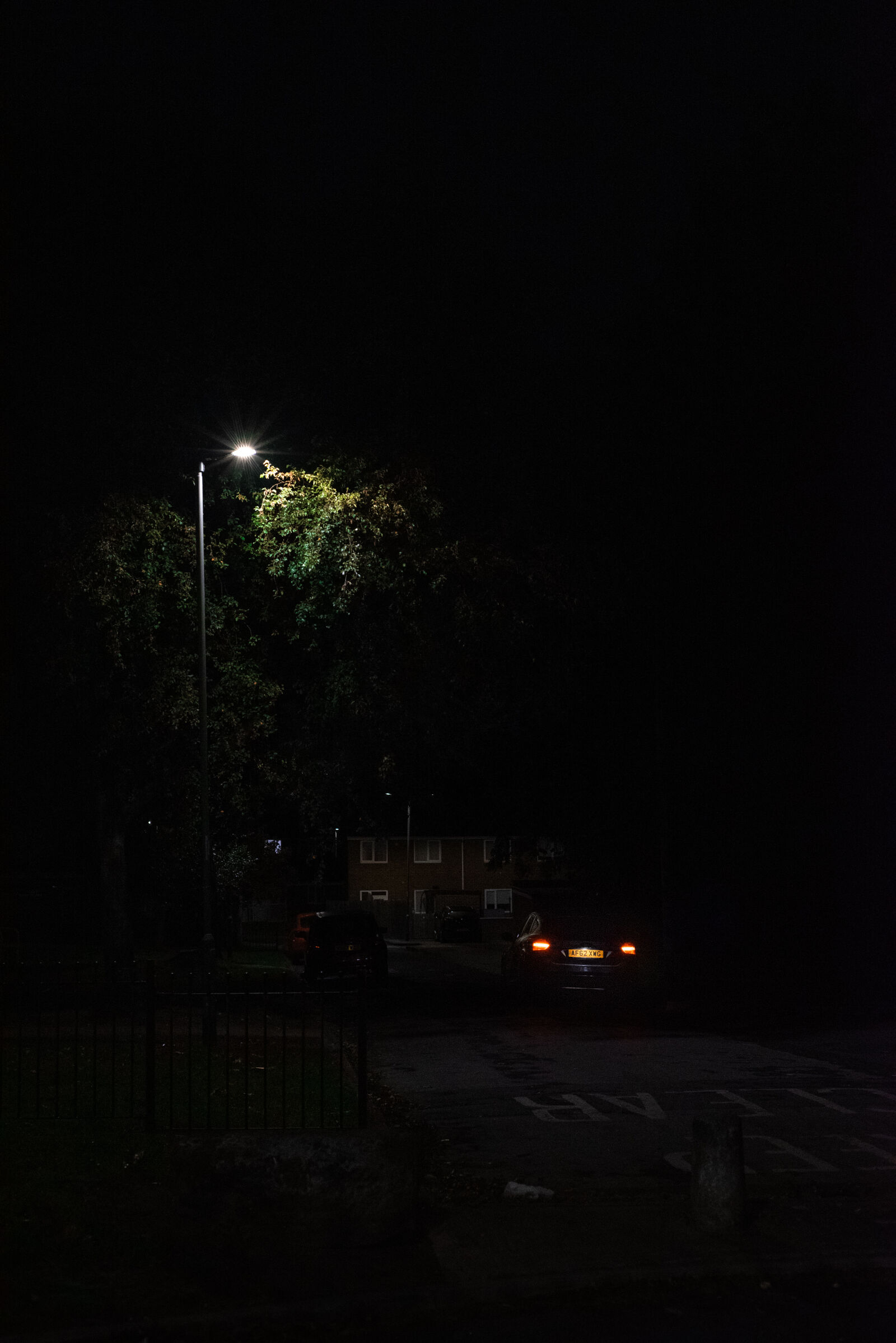 Nikon D750 sample photo. Beneath the streetlight photography