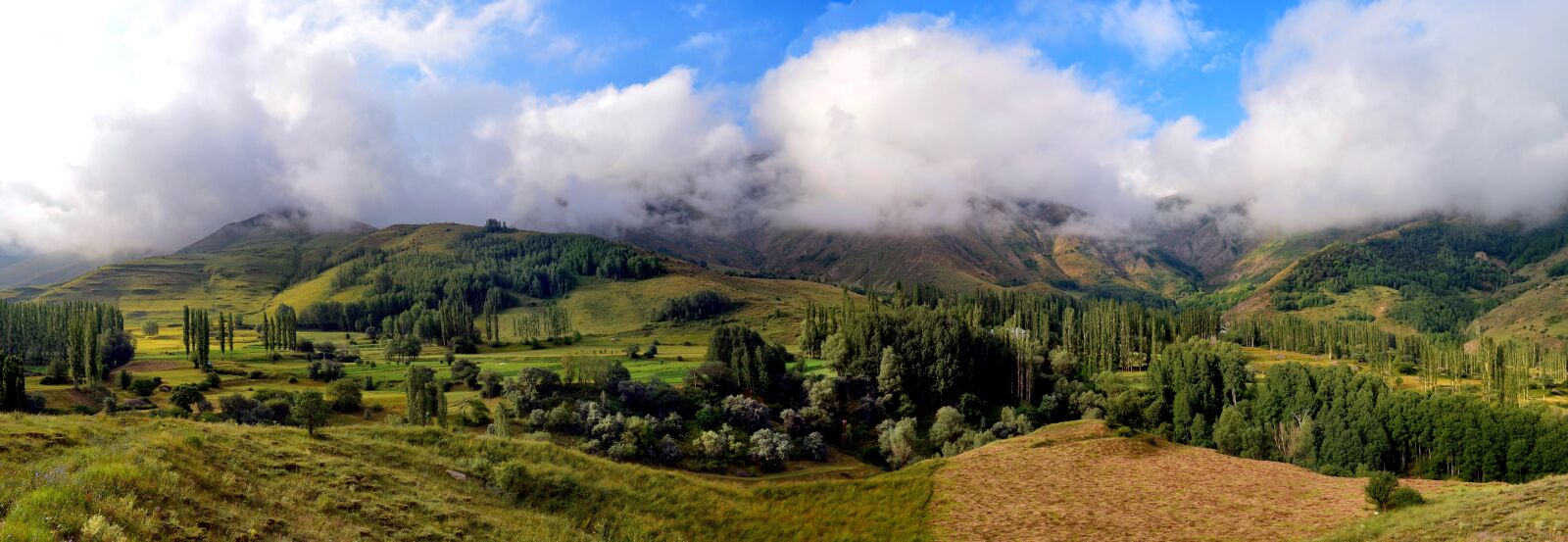 Nikon D5100 sample photo. Nature, landscape, kaçkars photography