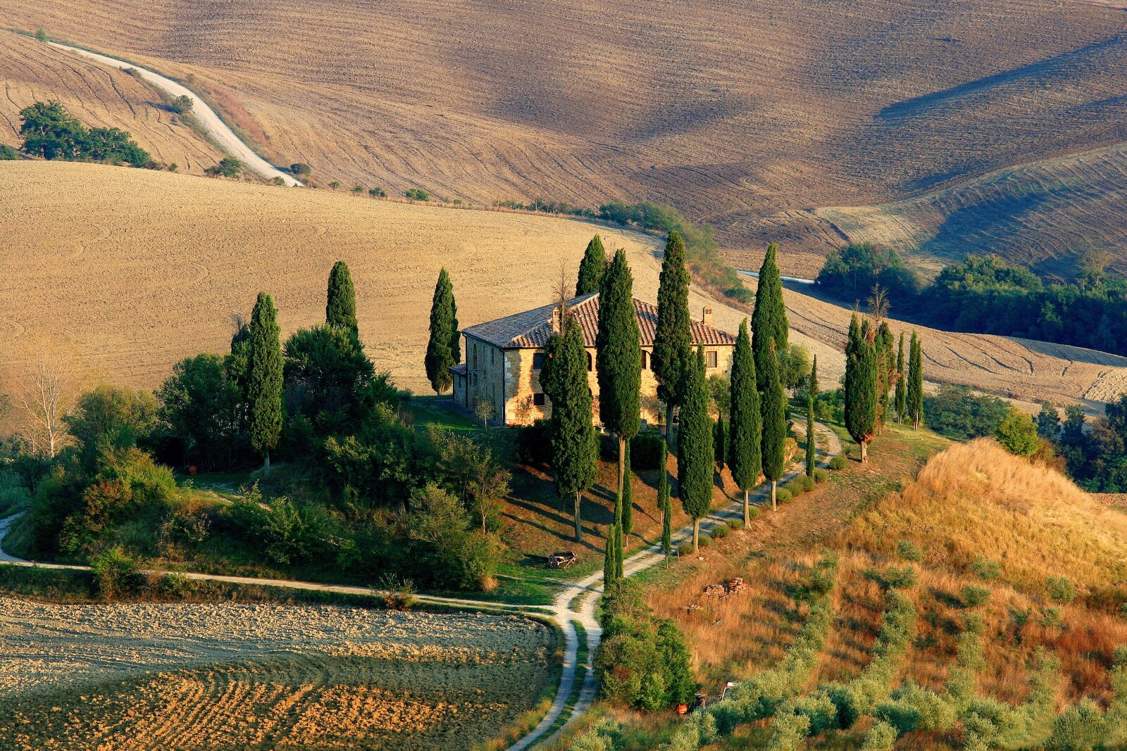 Canon EOS 30D sample photo. Tuscany, landscape, cypress photography