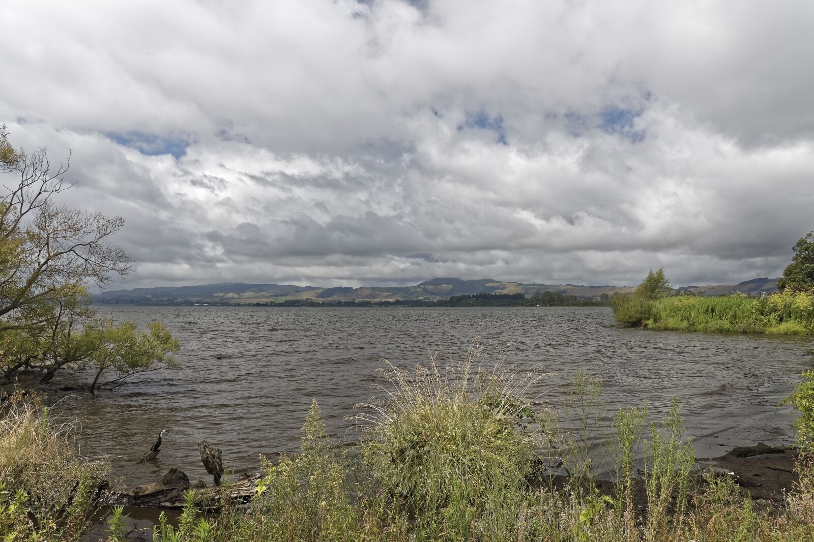 Nikon D500 sample photo. New zealand, lake rotorua photography