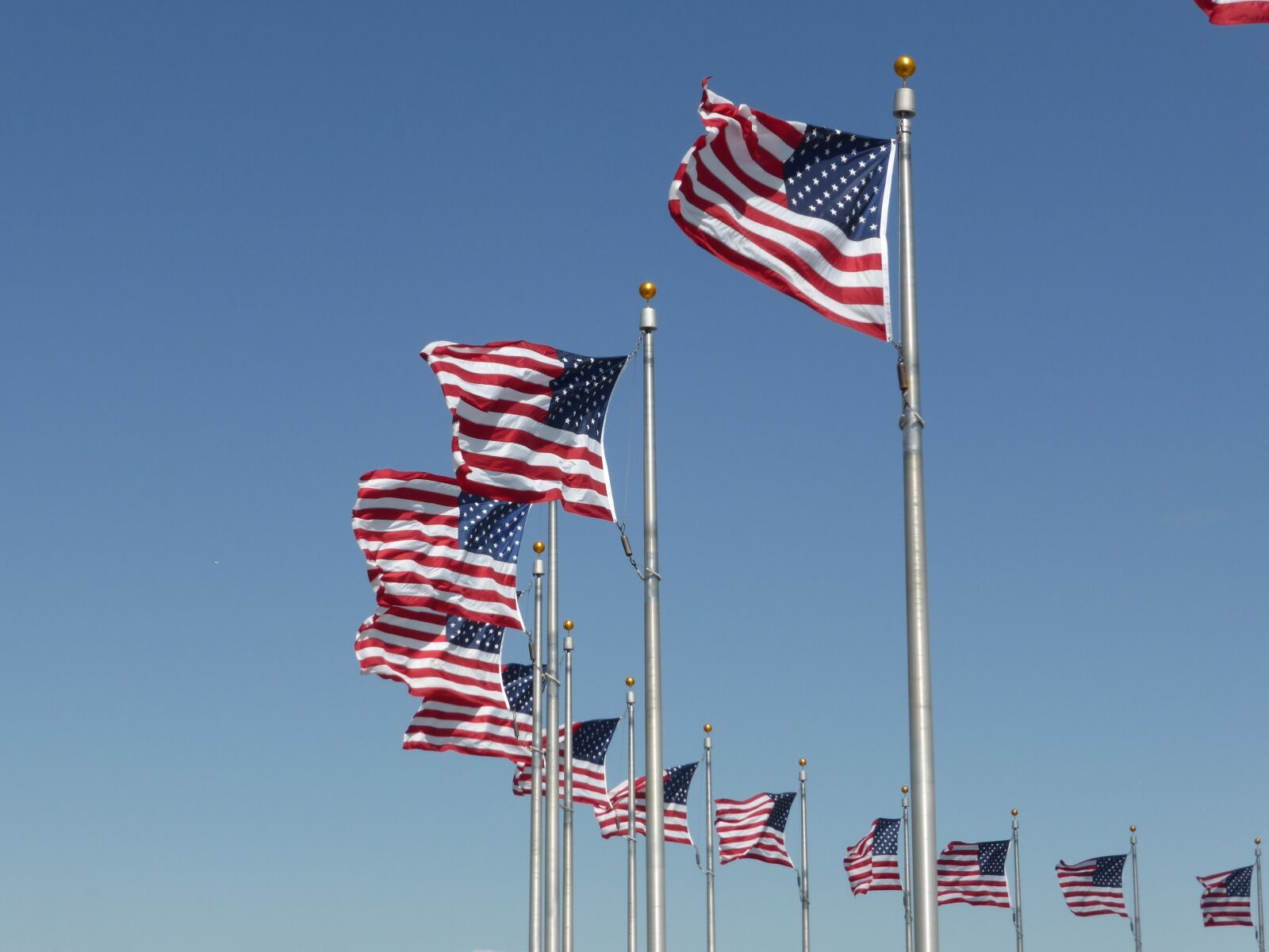 Panasonic Lumix DMC-ZS30 (Lumix DMC-TZ40) sample photo. Flags, america, monument photography