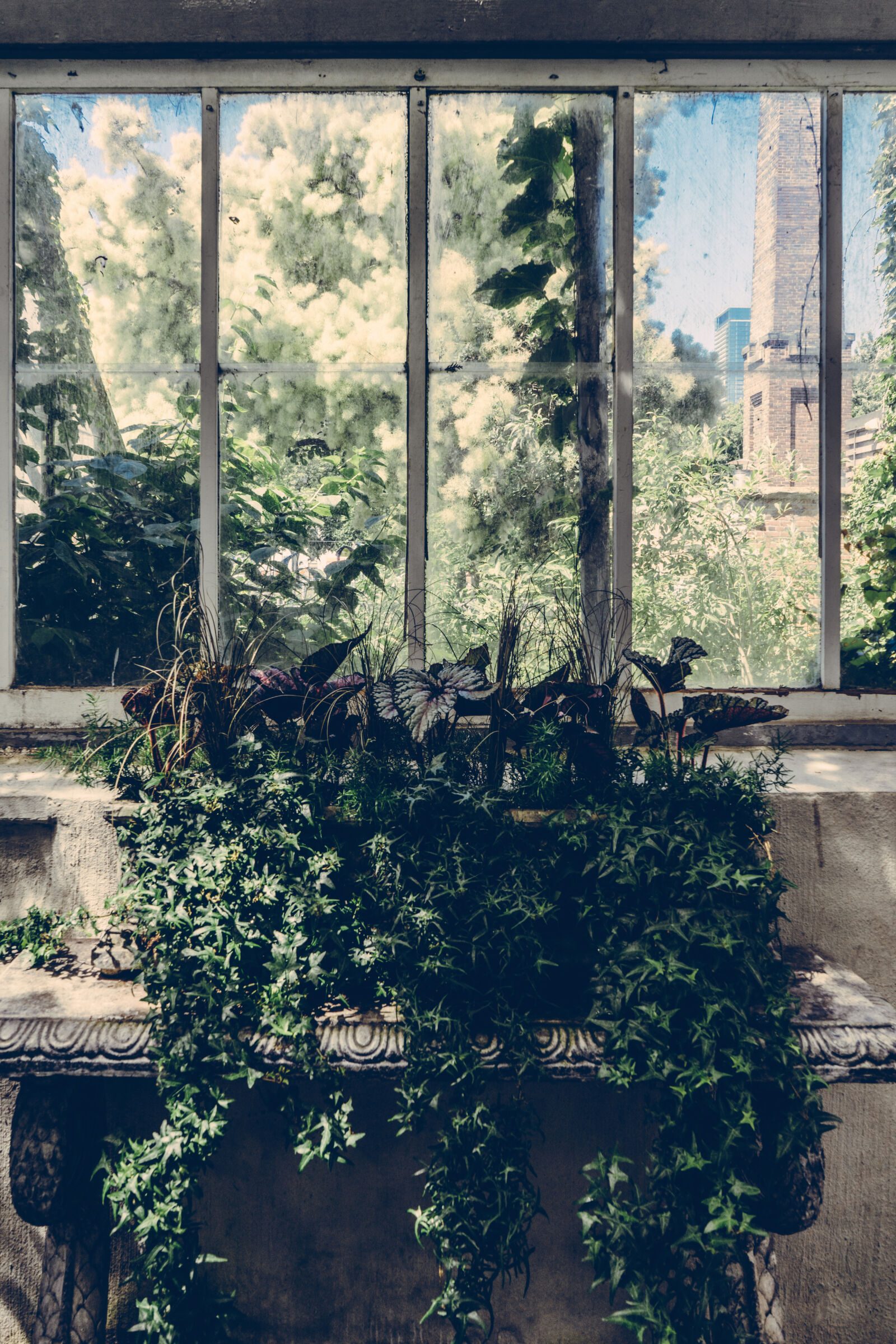 Sony a7 II + Sony FE 28-70mm F3.5-5.6 OSS sample photo. Green, leaf, plant, near photography