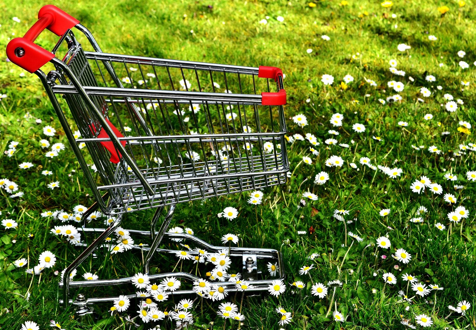 Nikon D7200 sample photo. Shopping, shopping cart, sale photography