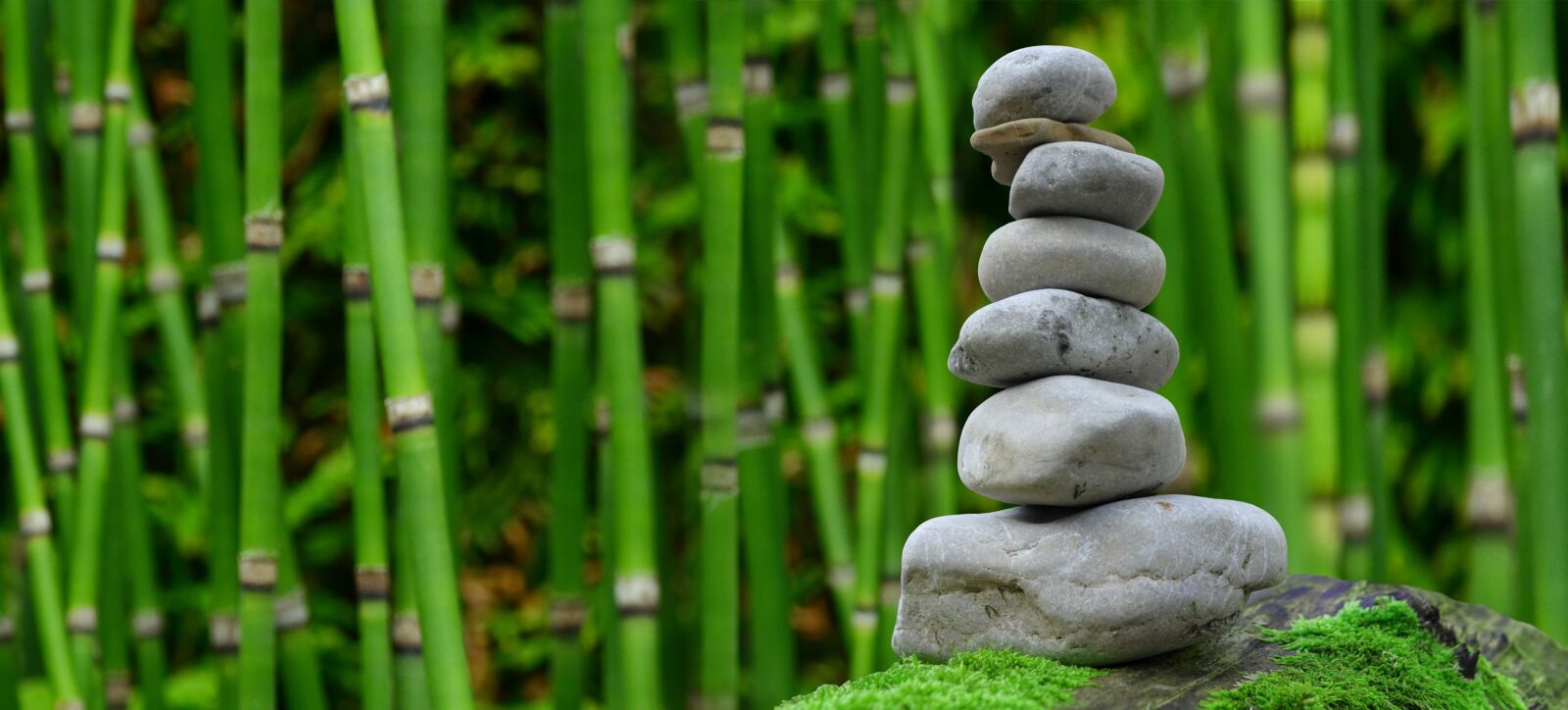 Nikon D5100 sample photo. Zen, garden, meditation photography