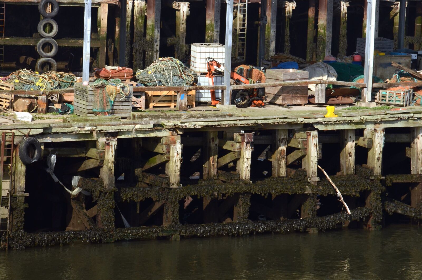 Nikon D7000 sample photo. Water, wood, algae, fishing photography