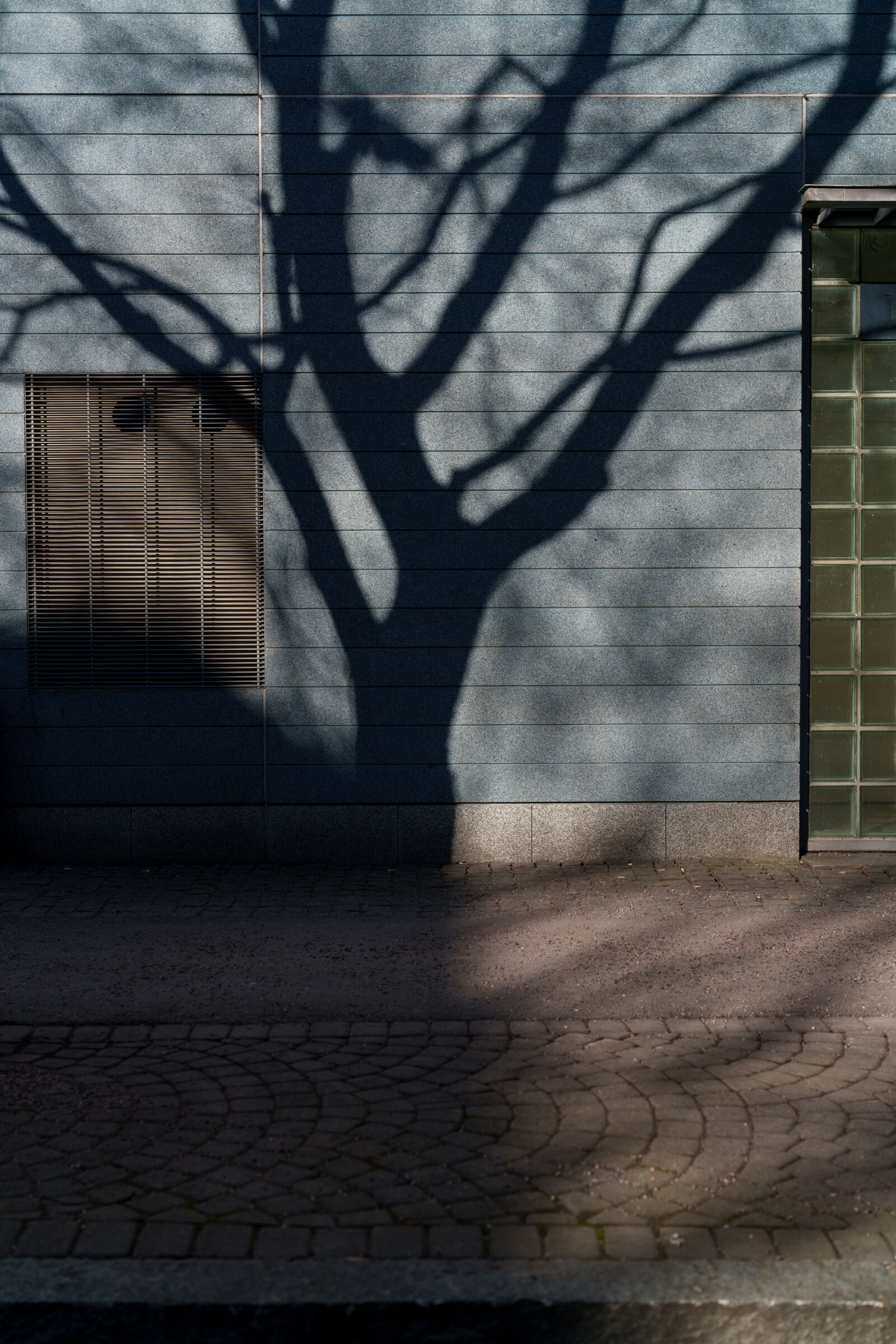 Sony FE 50mm F1.4 GM sample photo. Tree shadow street photography