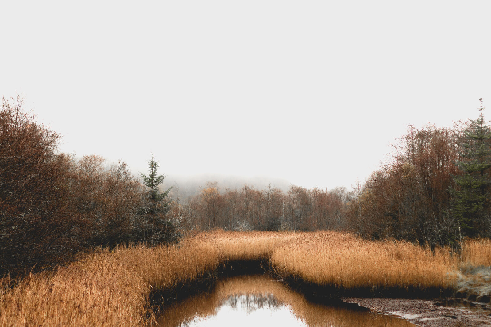 Canon EOS 70D + Canon EF 50mm F1.4 USM sample photo. Snow, wood, dawn, landscape photography
