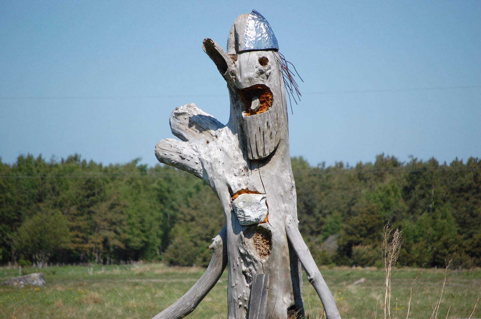 Nikon D40 sample photo. Læsø, figure, wood photography