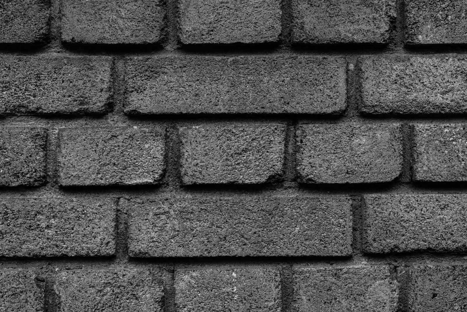 Nikon D810 sample photo. Black and white, black photography