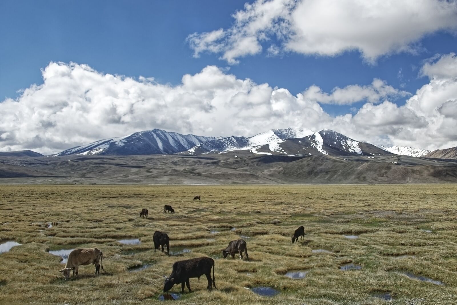 Nikon D500 sample photo. Tajikistan, the pamir mountains photography