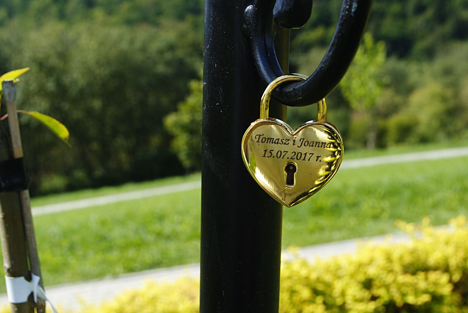 Nikon D3000 sample photo. Muszyna, mountains, summer photography