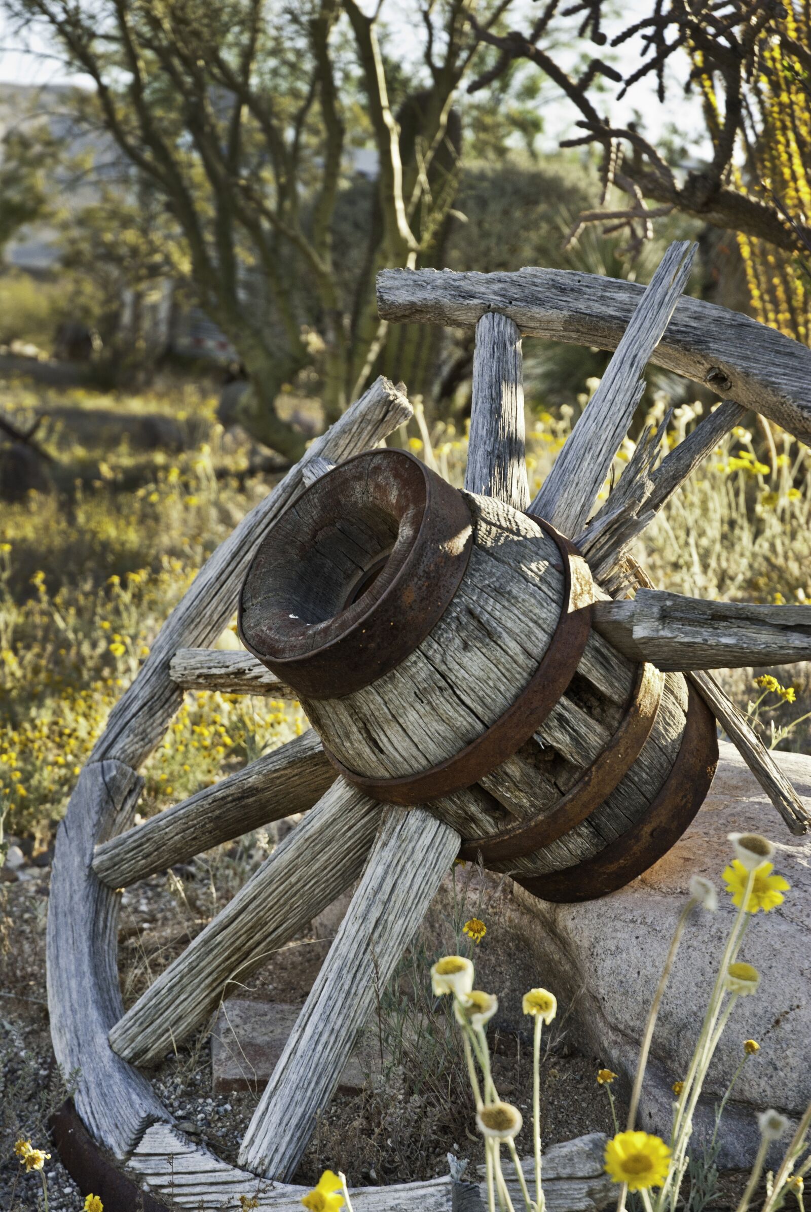 Nikon D200 sample photo. Desert, wagon wheel, western photography