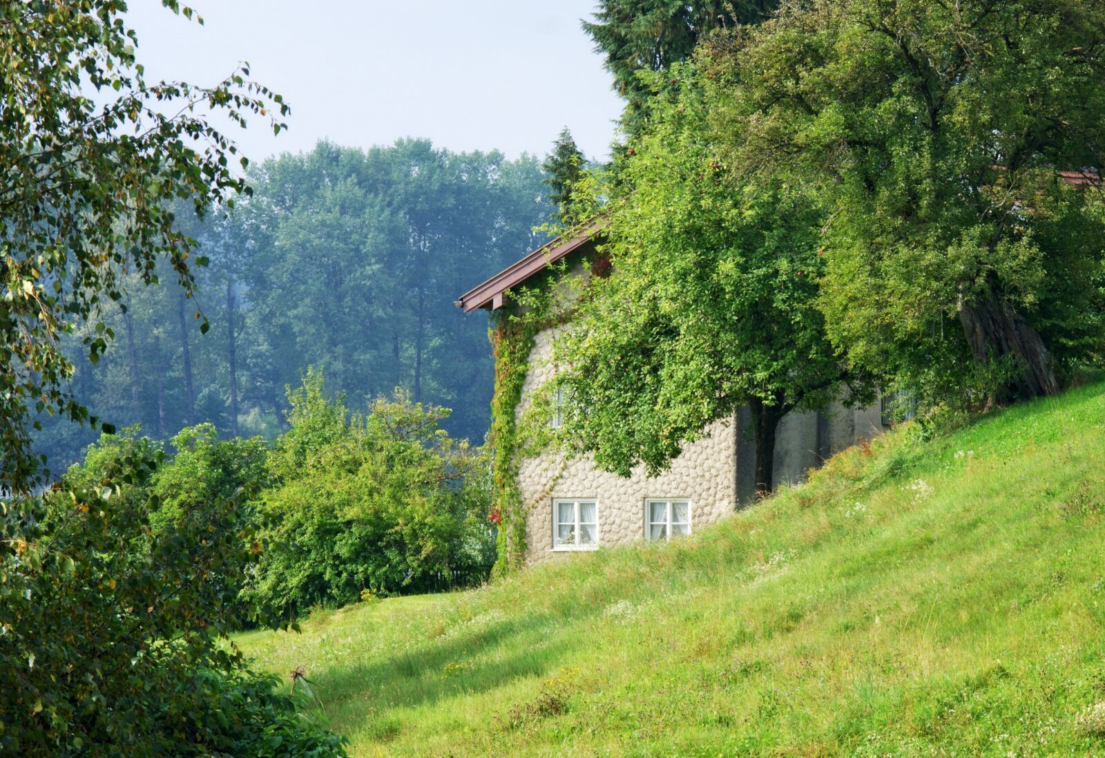 55.0-200.0mm f/4.0-f/5.6 sample photo. Nature, house, green photography