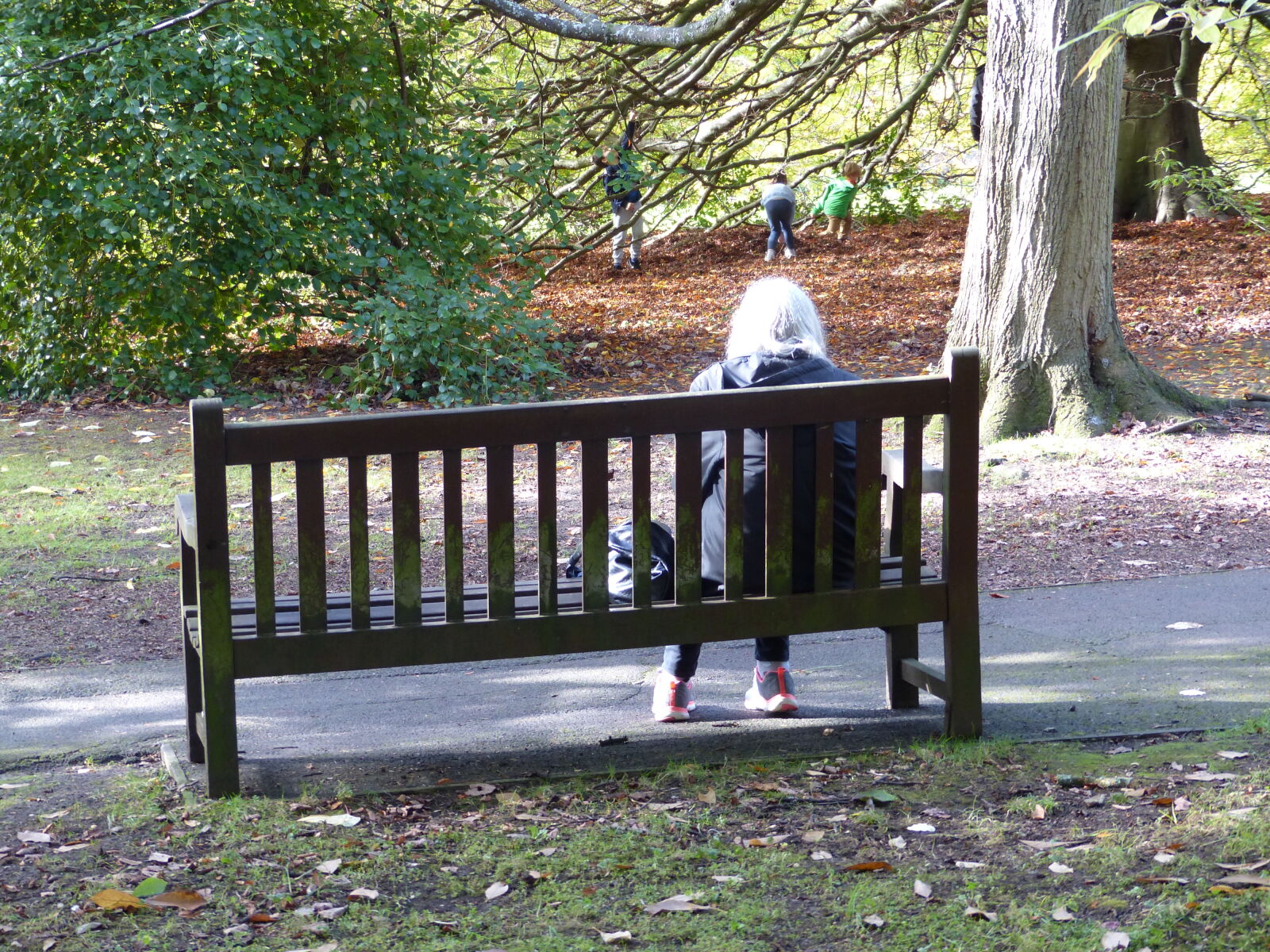Panasonic Lumix DMC-FZ200 sample photo. Alone, bench, city, park photography