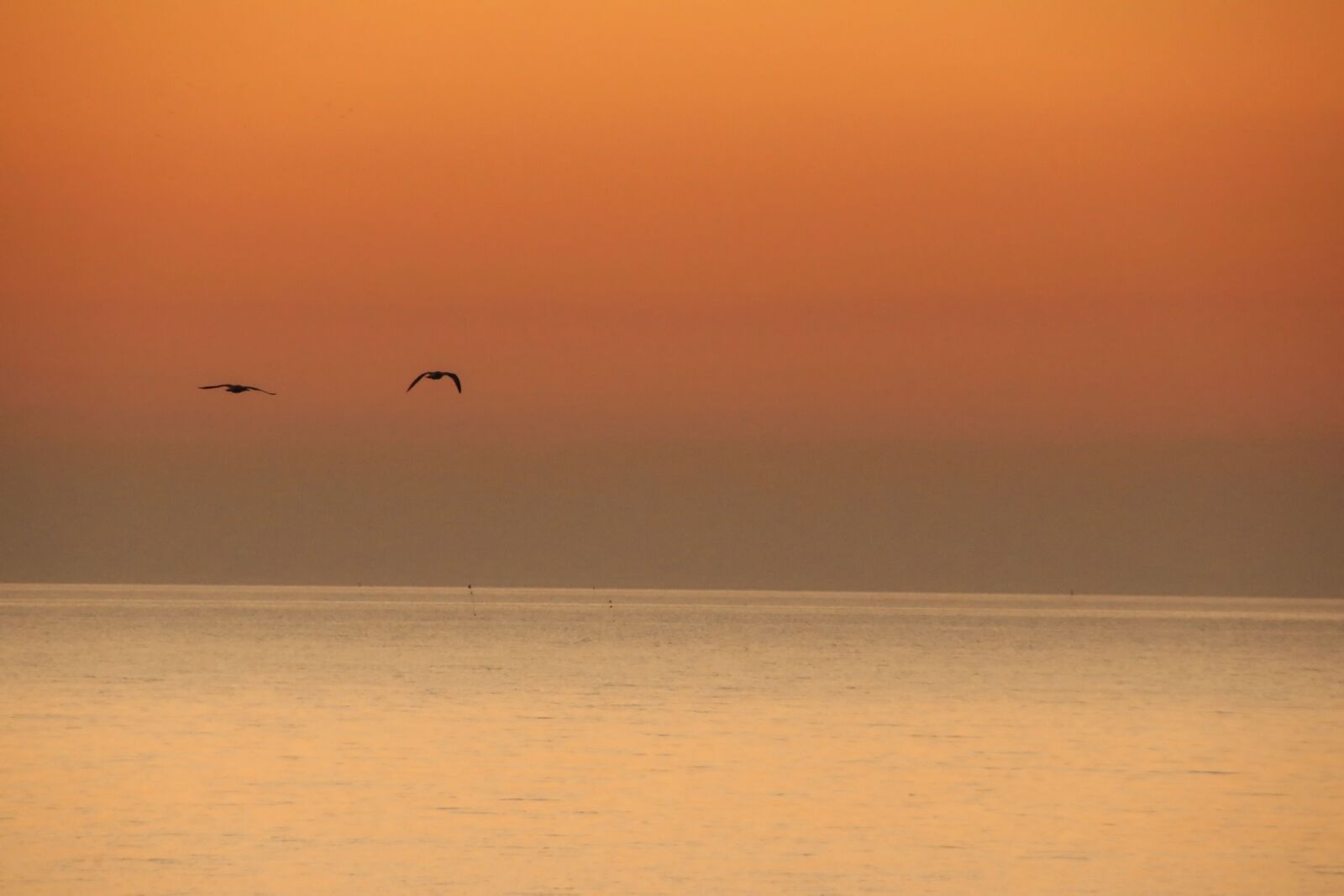Canon EOS 70D sample photo. Sunset, ocean, orange photography
