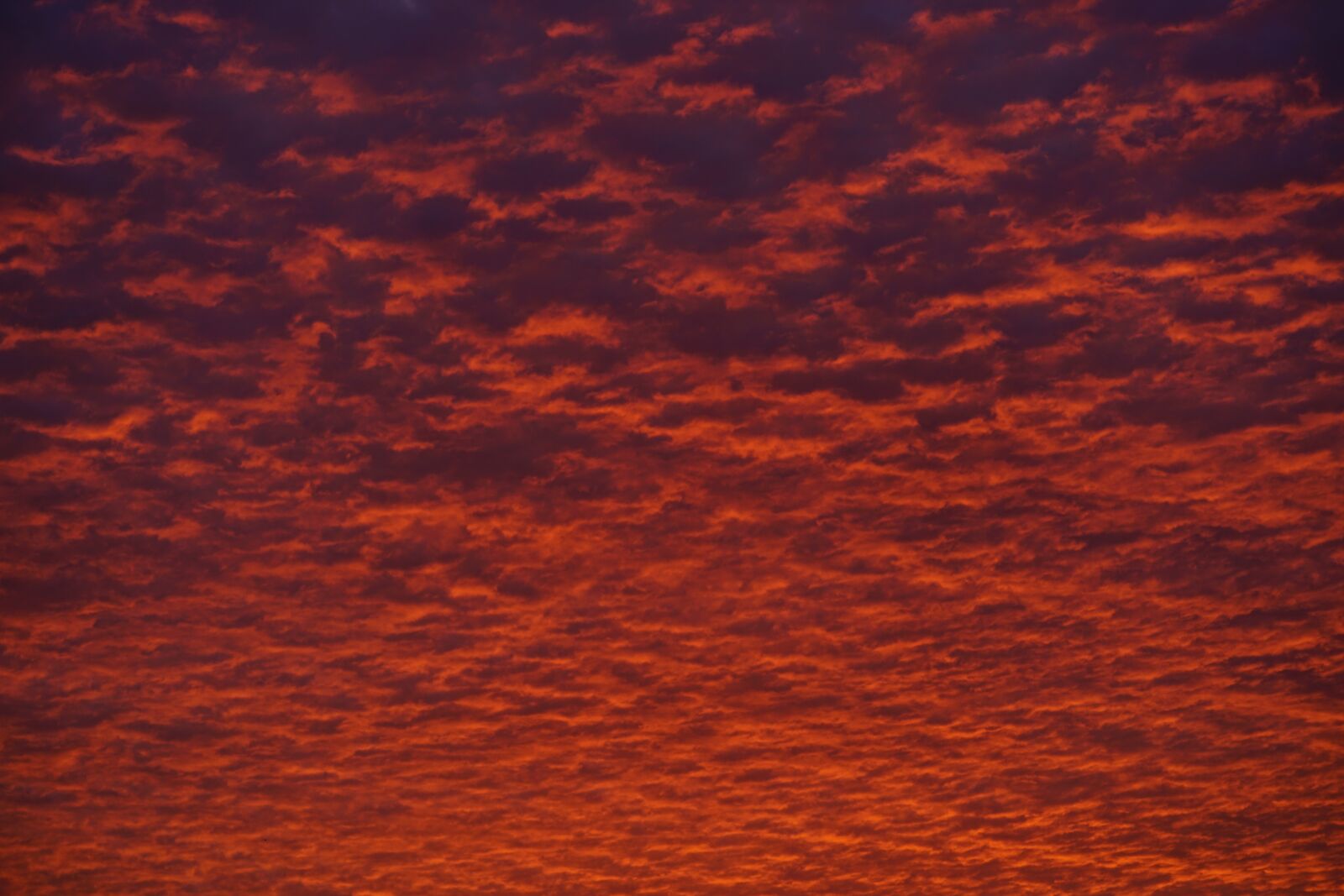 Sony a7R II + Sony FE 90mm F2.8 Macro G OSS sample photo. Cloudscape, clouds, sky photography
